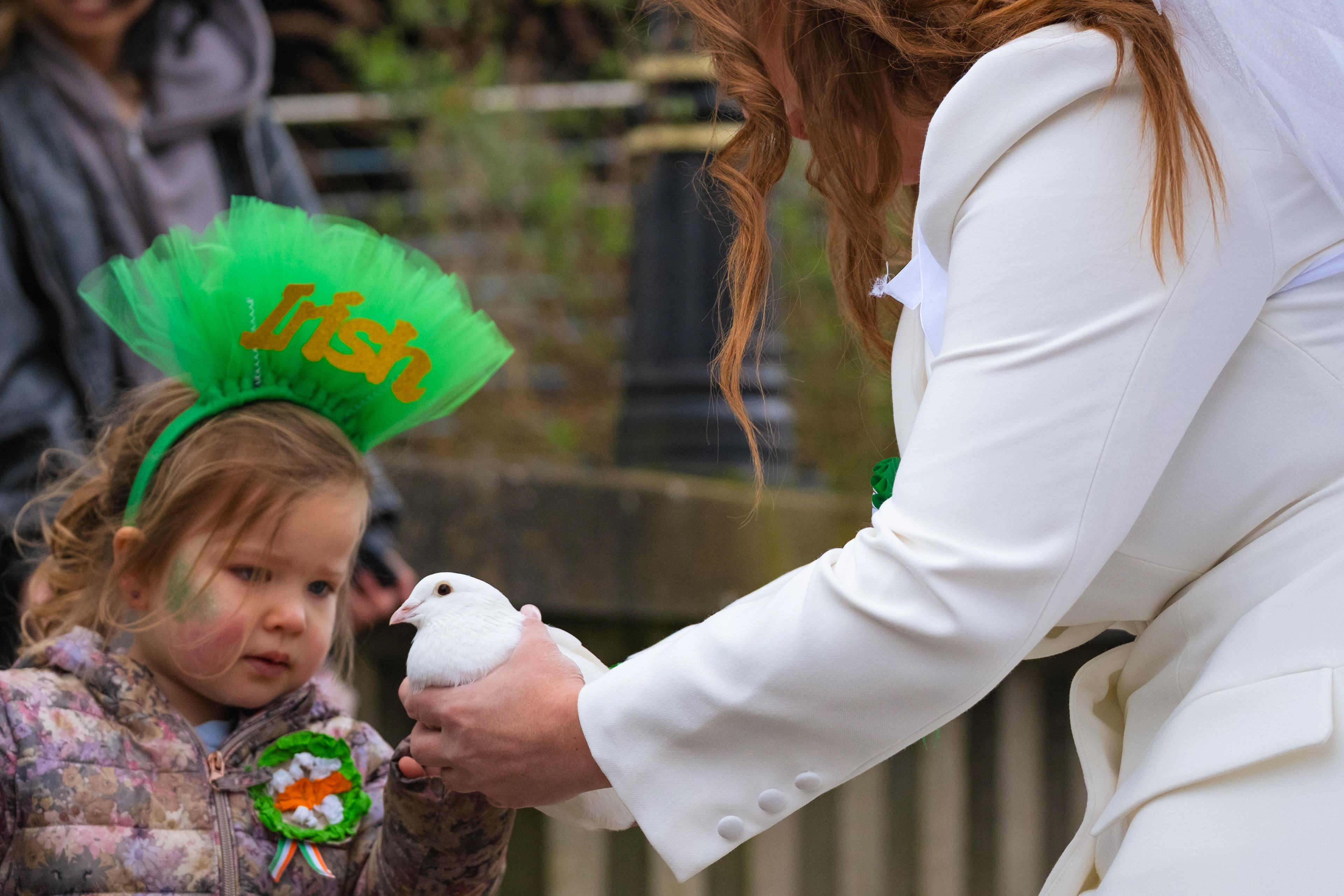 © 2026 Annabelle Hamil All rights reserved