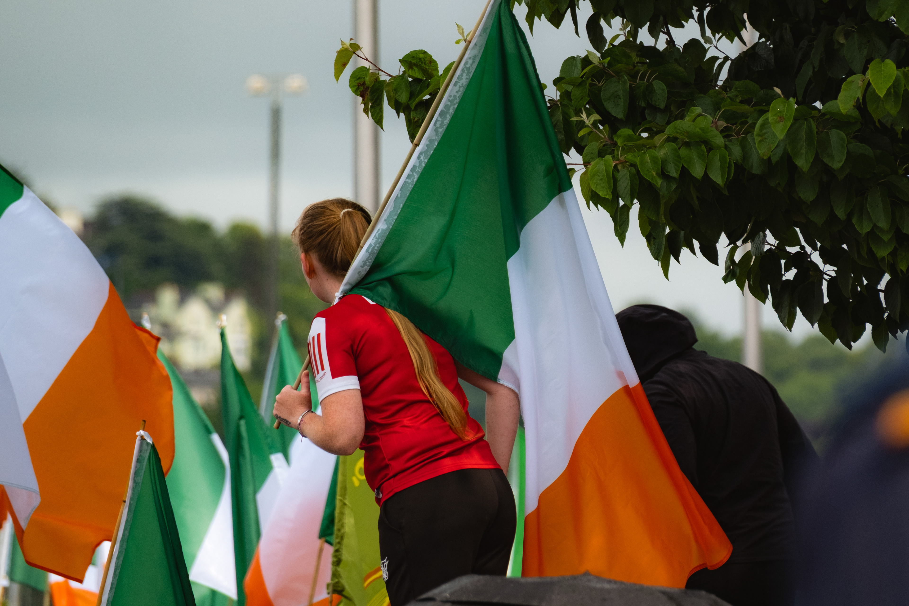 © All rights reserved, Annabelle Hamil