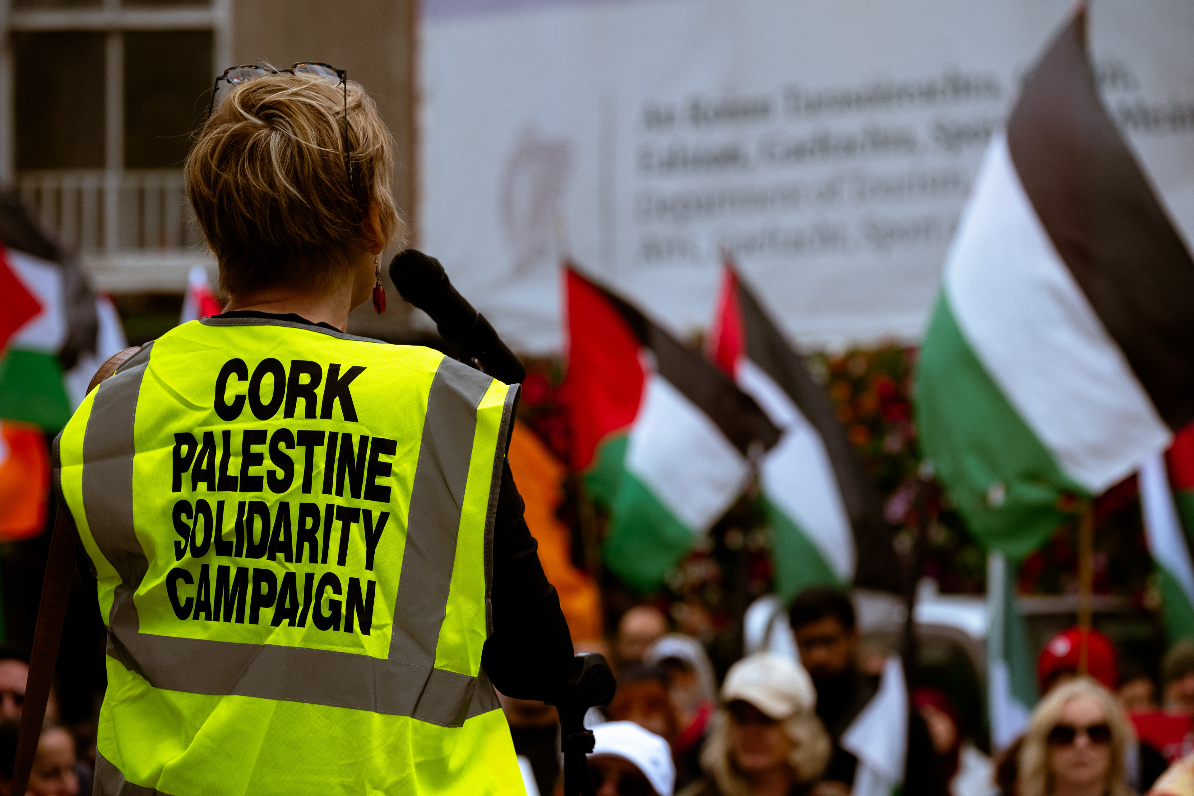 © All rights reserved, Annabelle Hamil