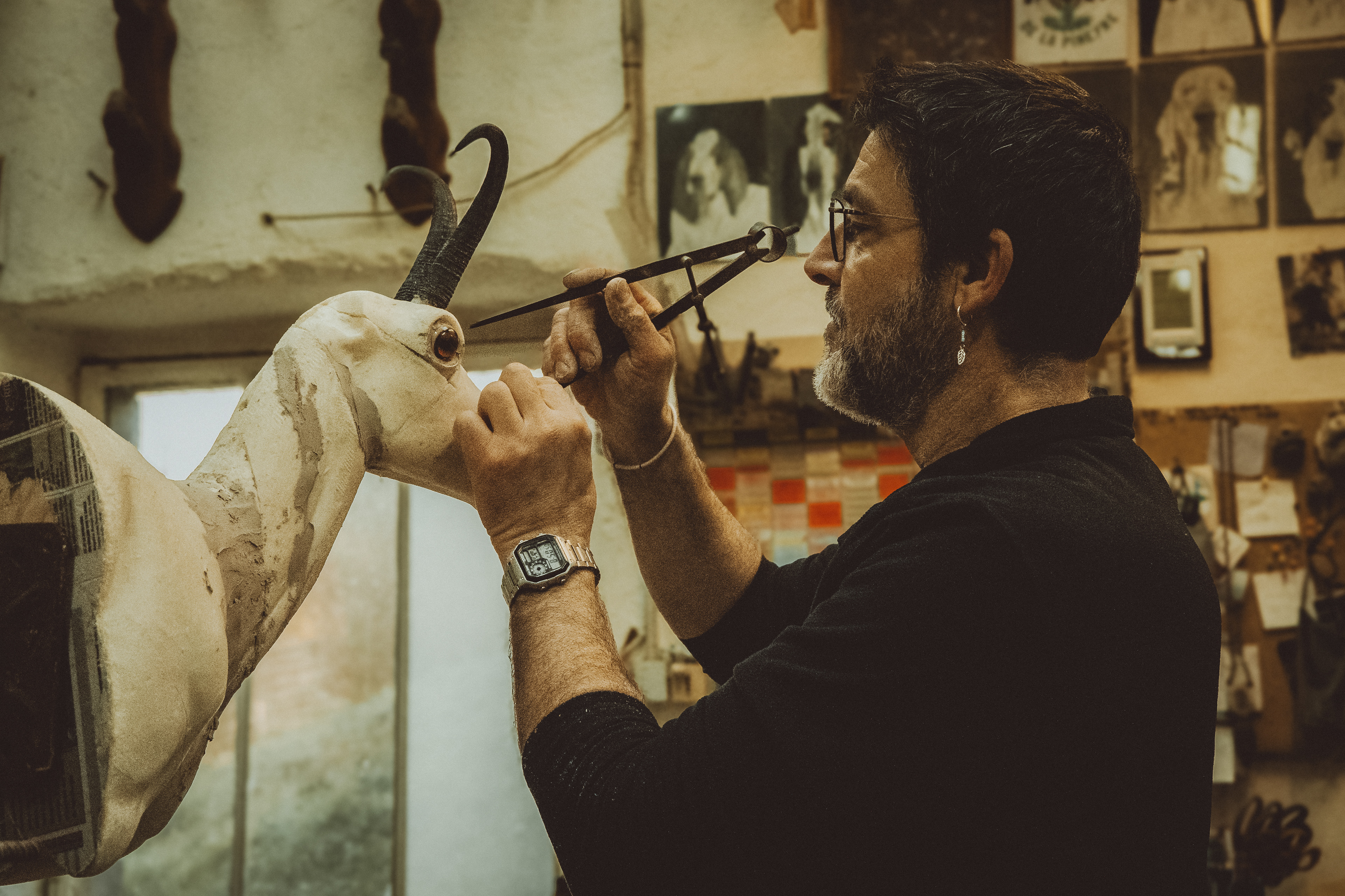 © All rights reserved, Annabelle Hamil 2025