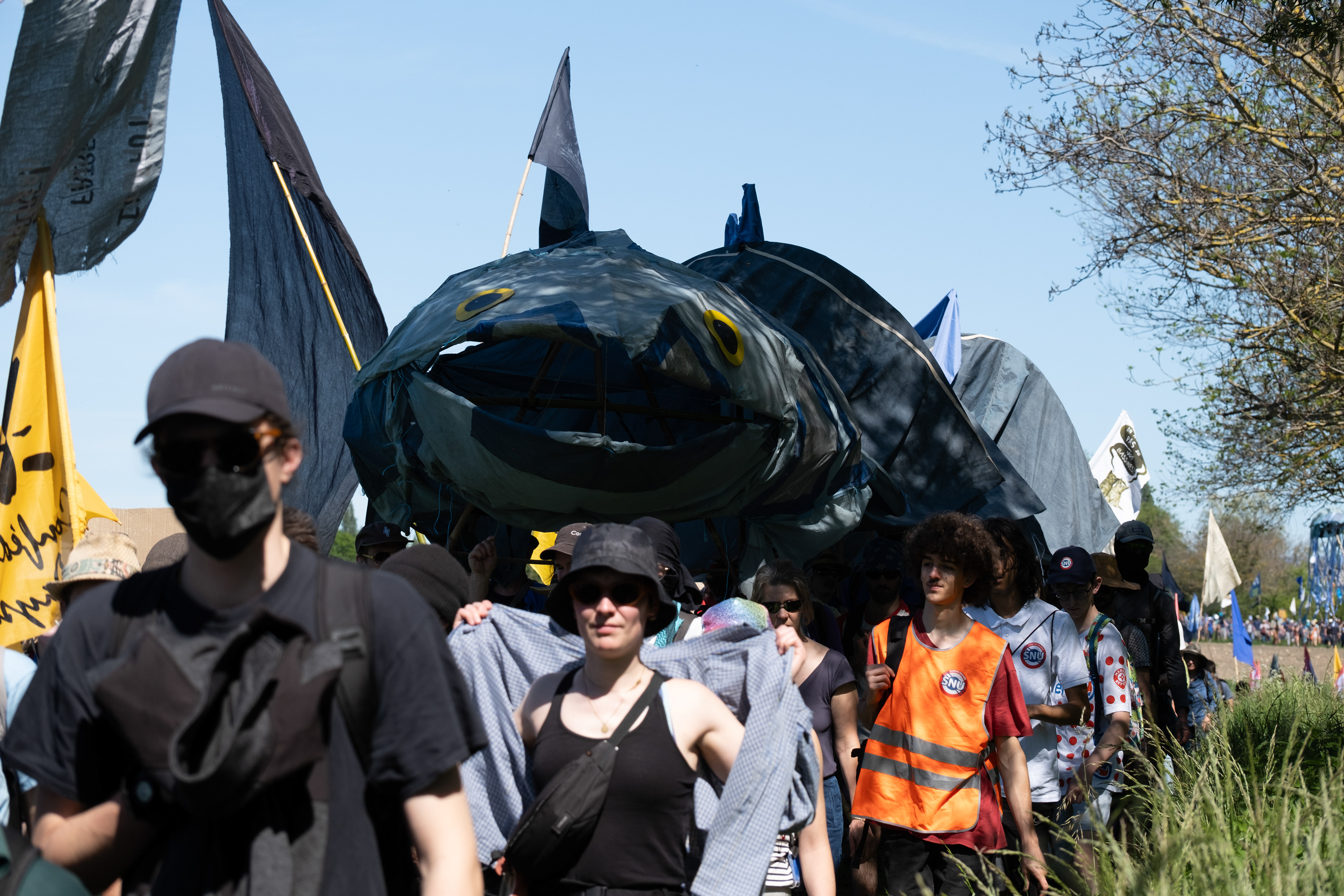 © All rights reserved, Annabelle Hamil