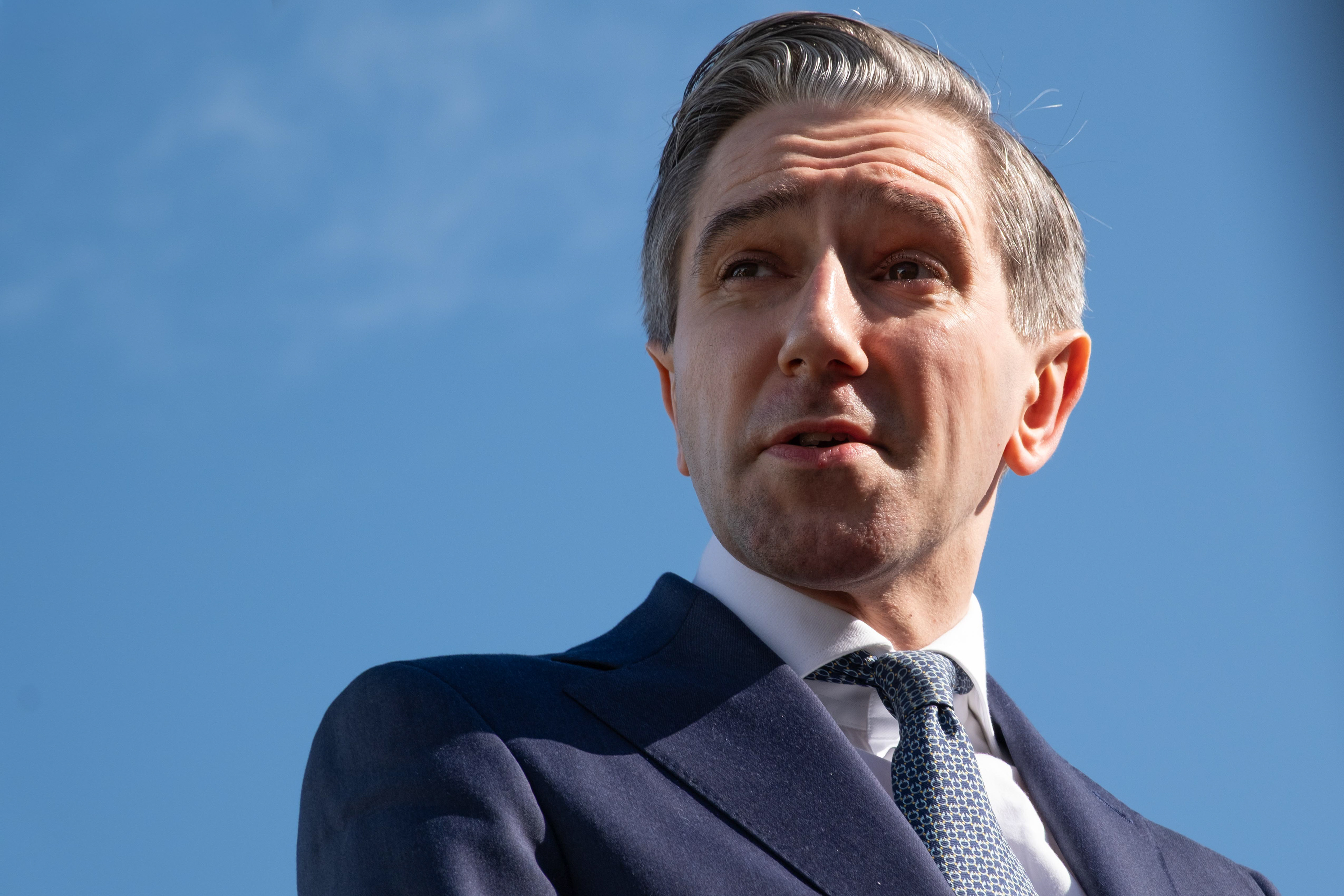 © 2026 Annabelle Hamil All rights reserved