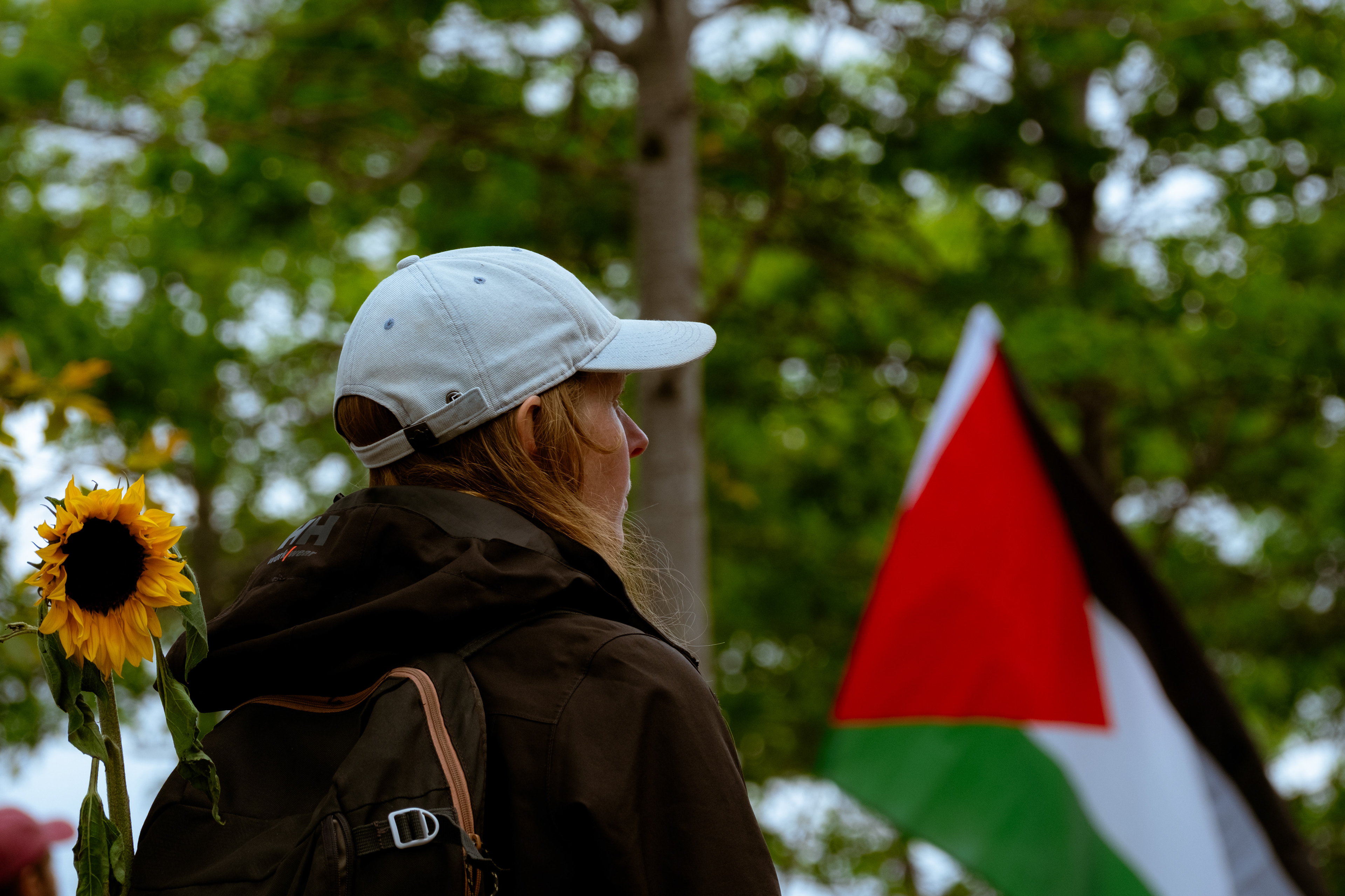 © All rights reserved, Annabelle Hamil