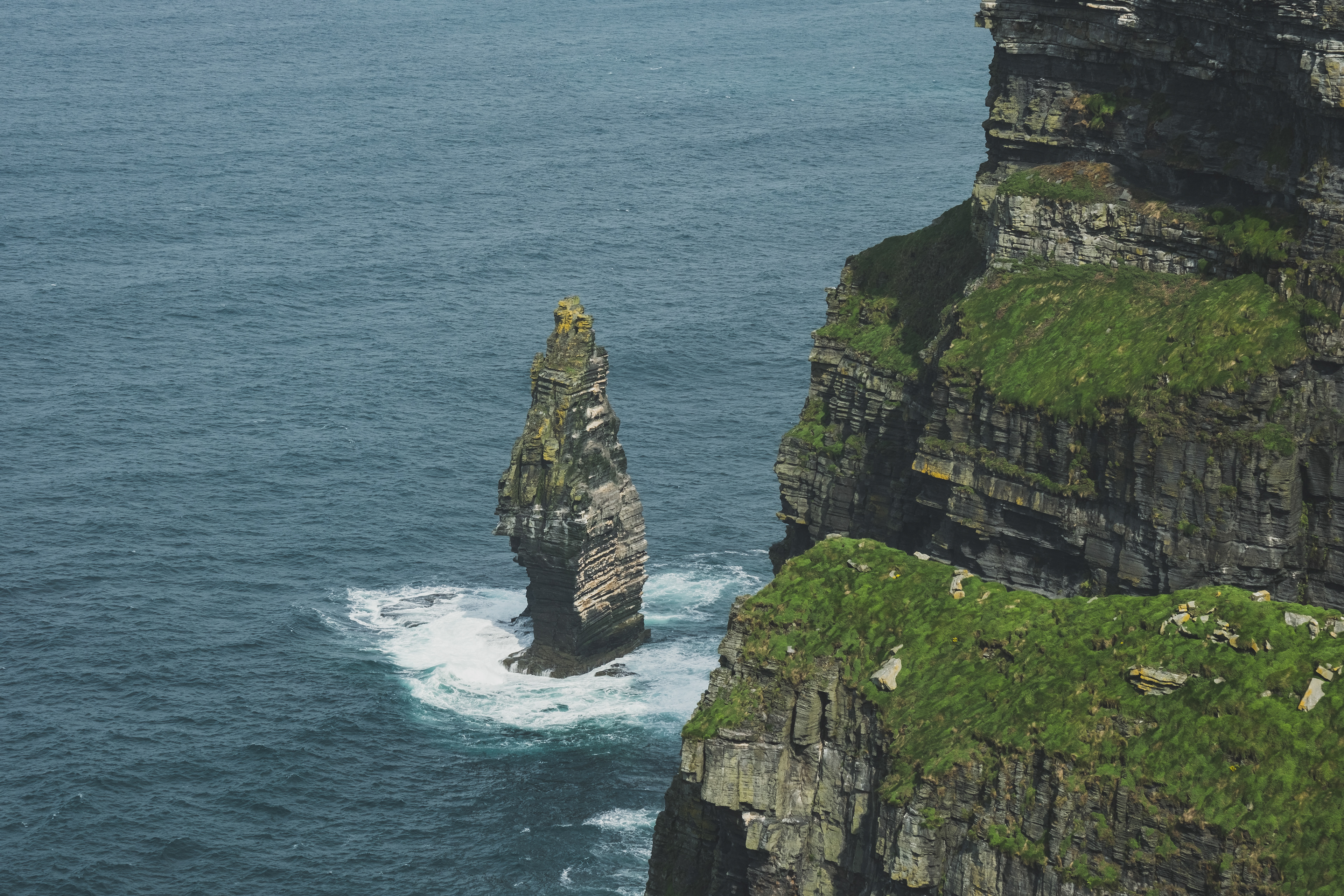 © All rights reserved, Annabelle Hamil 2025