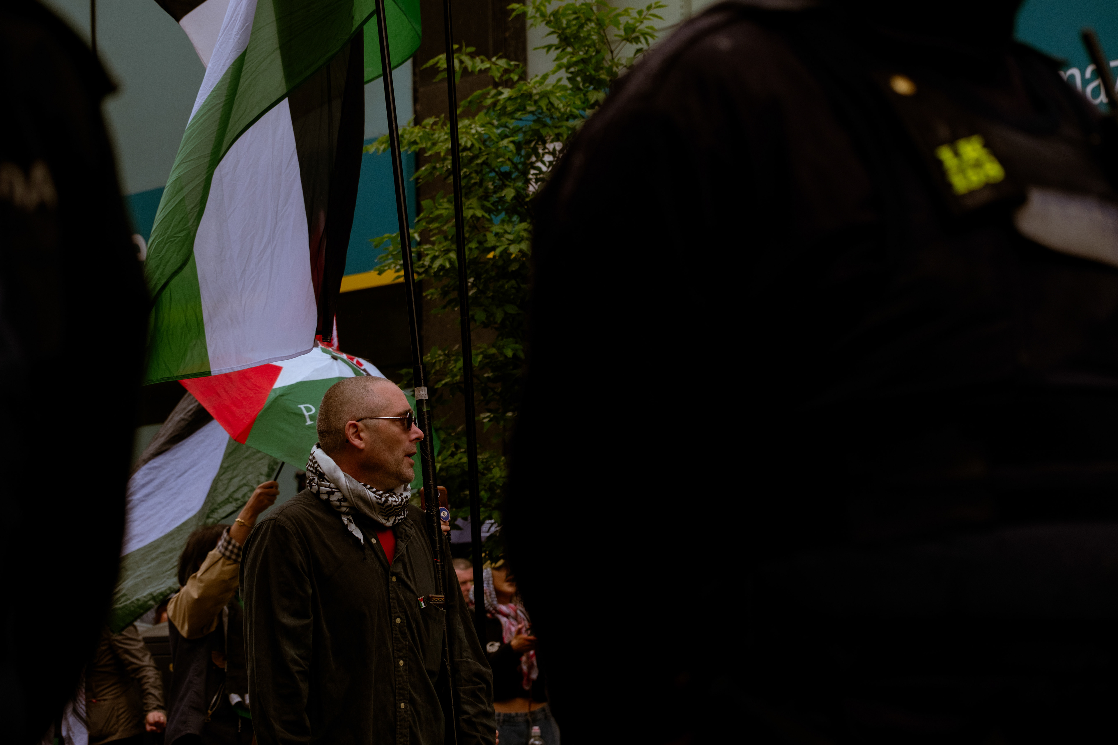 © All rights reserved, Annabelle Hamil