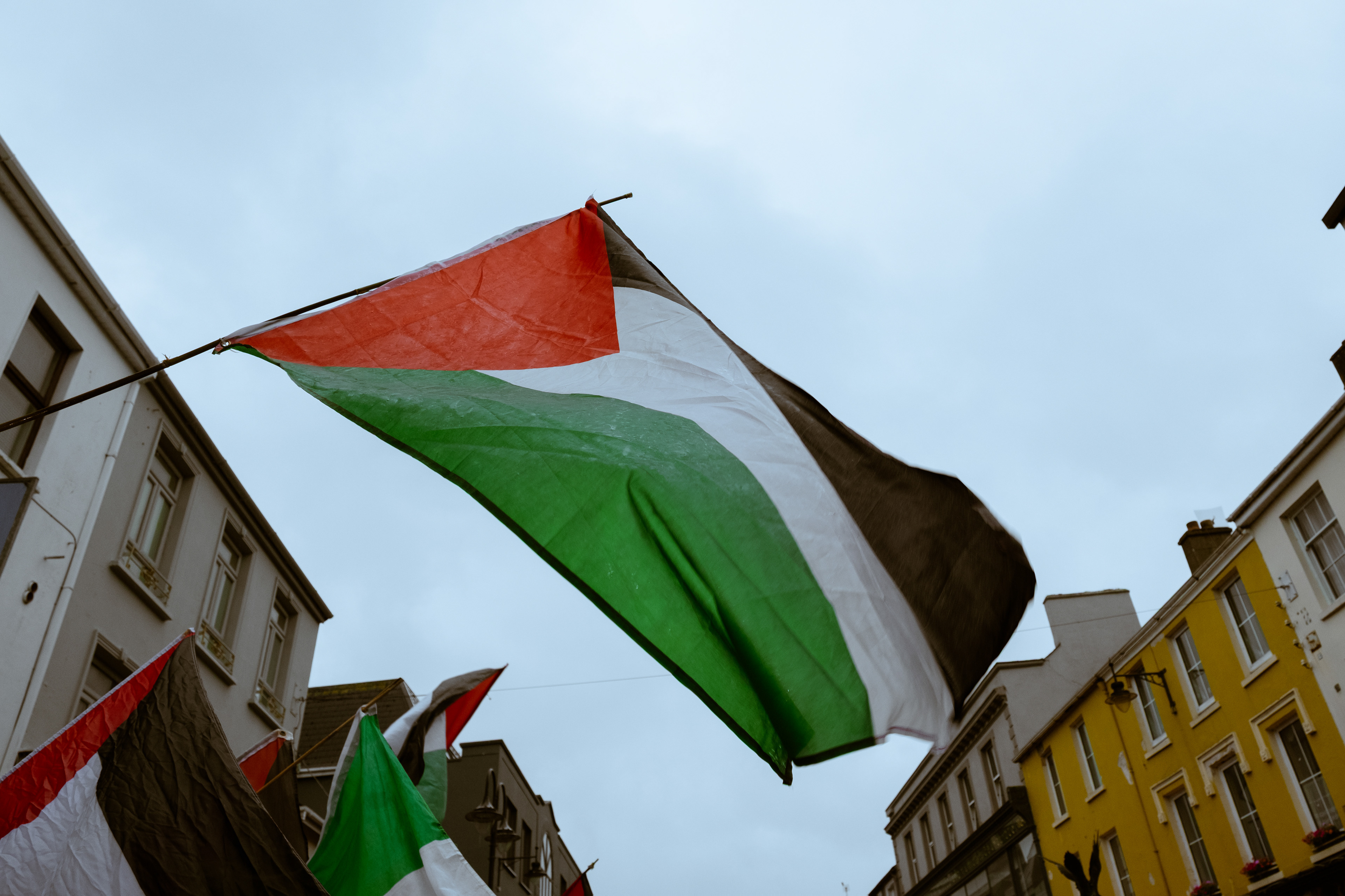 © All rights reserved, Annabelle Hamil