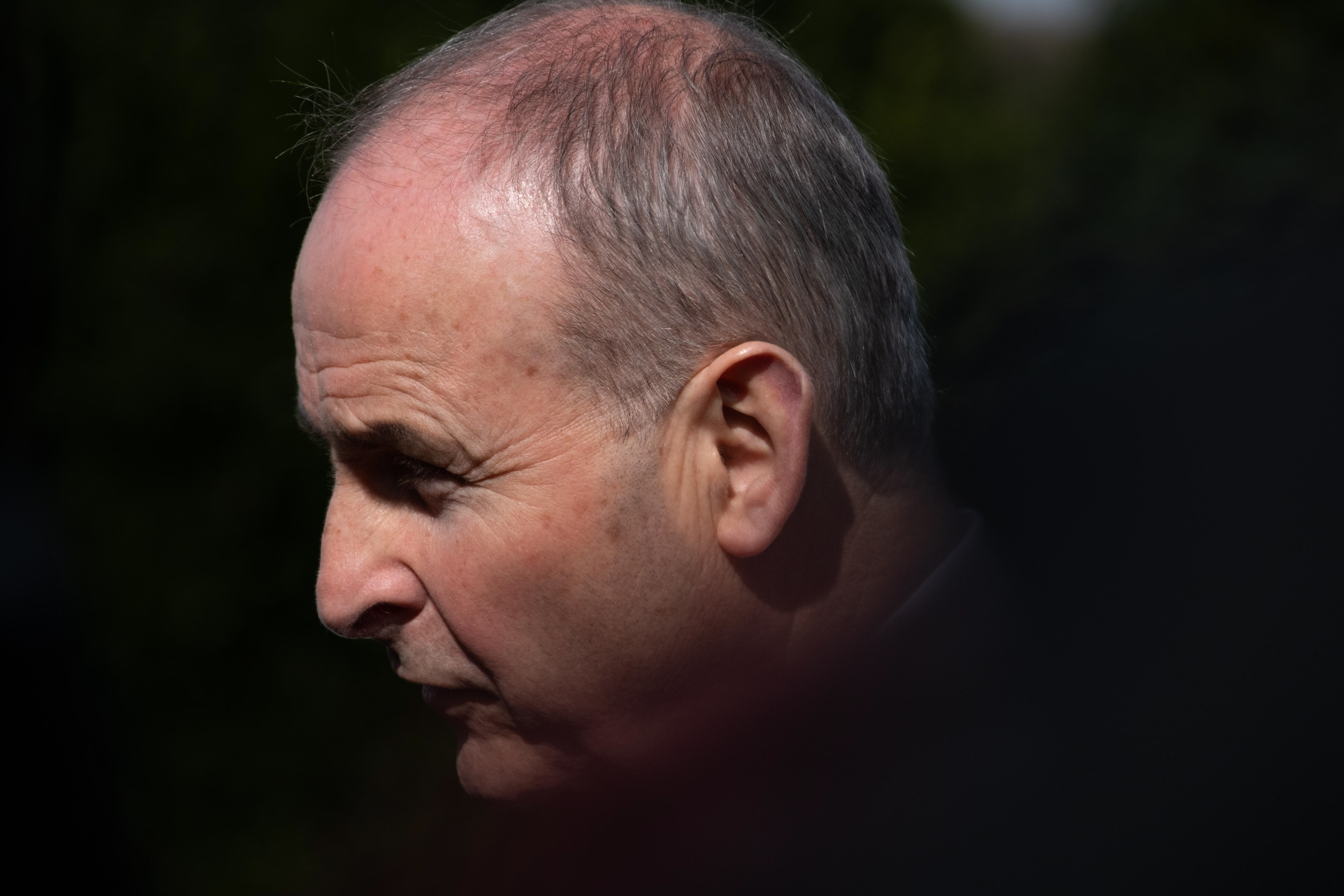 © 2026 Annabelle Hamil All rights reserved