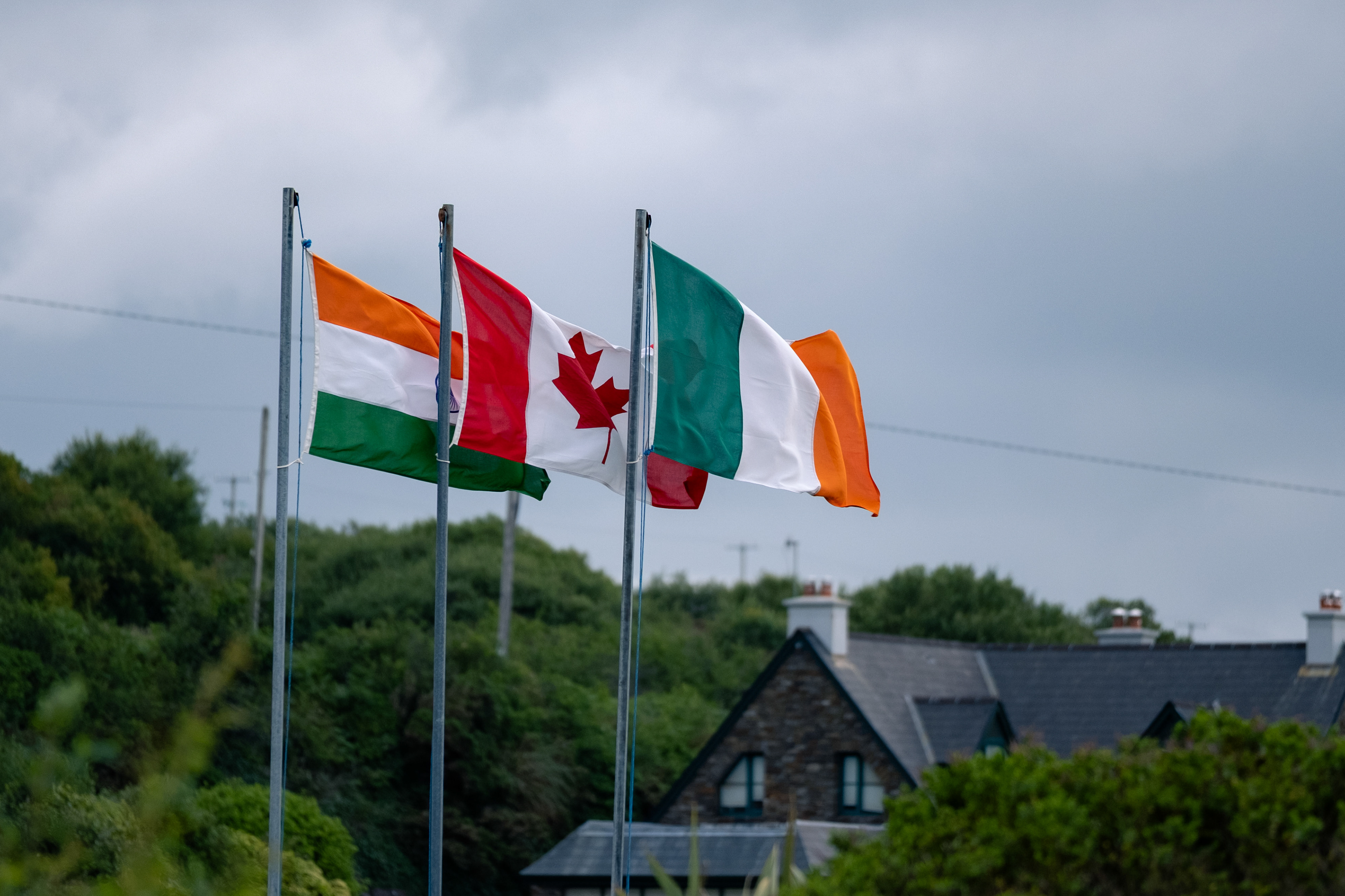 © All rights reserved, Annabelle Hamil 2025