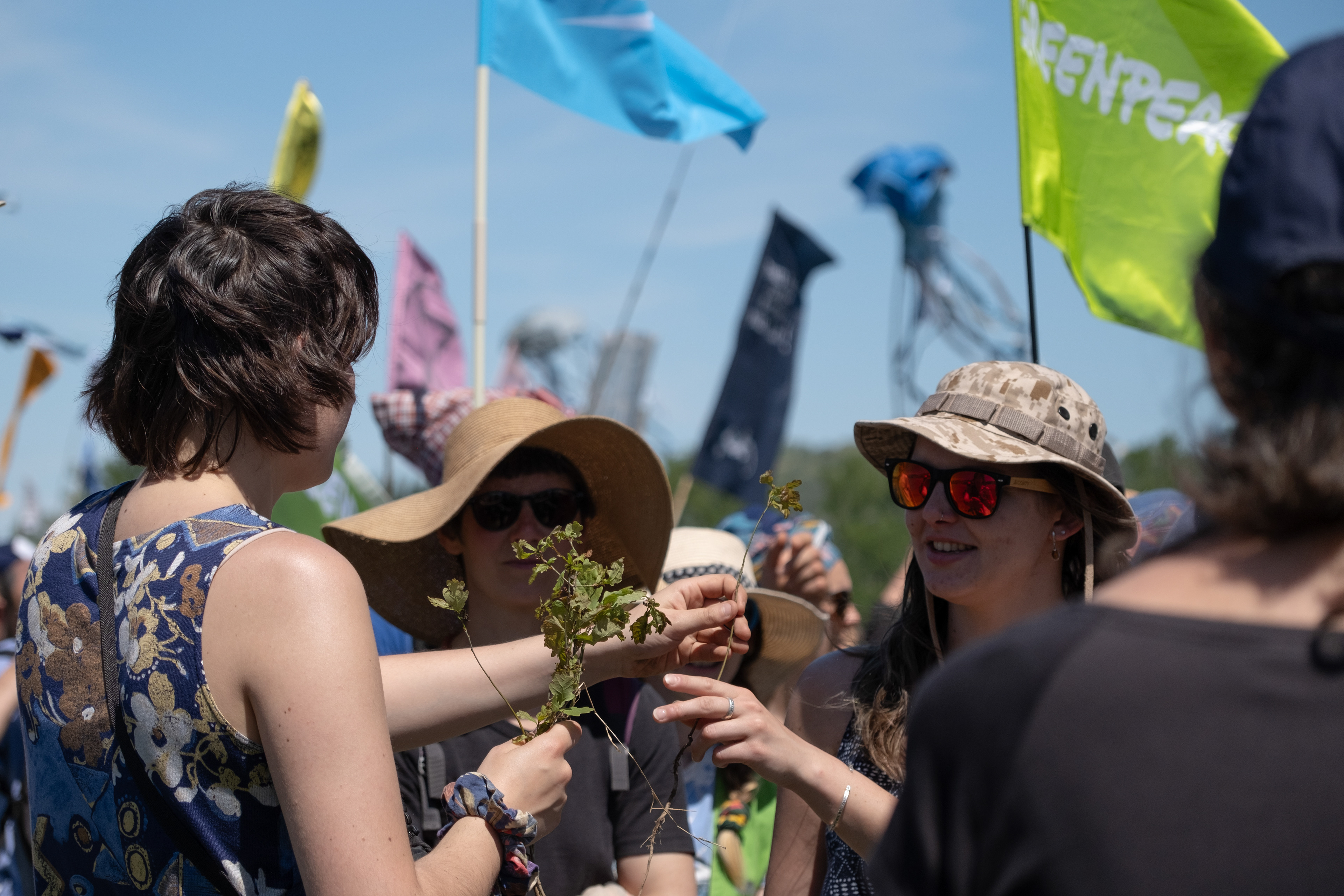 © All rights reserved, Annabelle Hamil