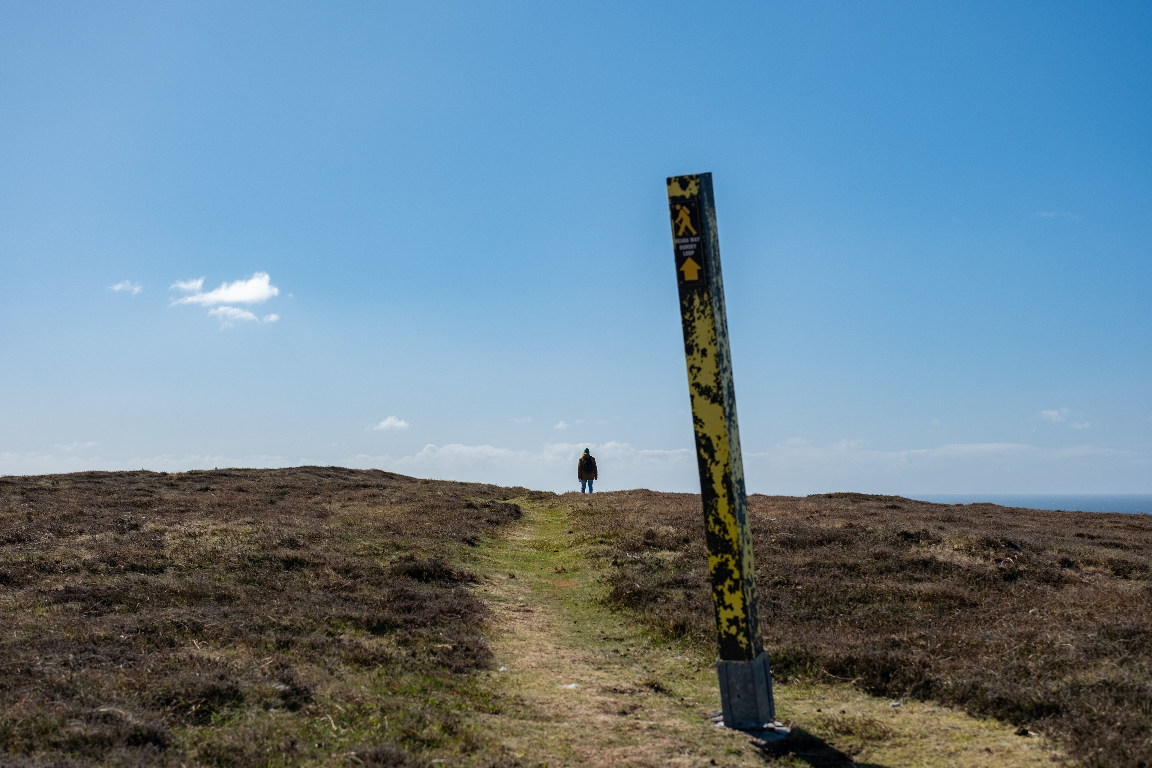 © All rights reserved, Annabelle Hamil 2025