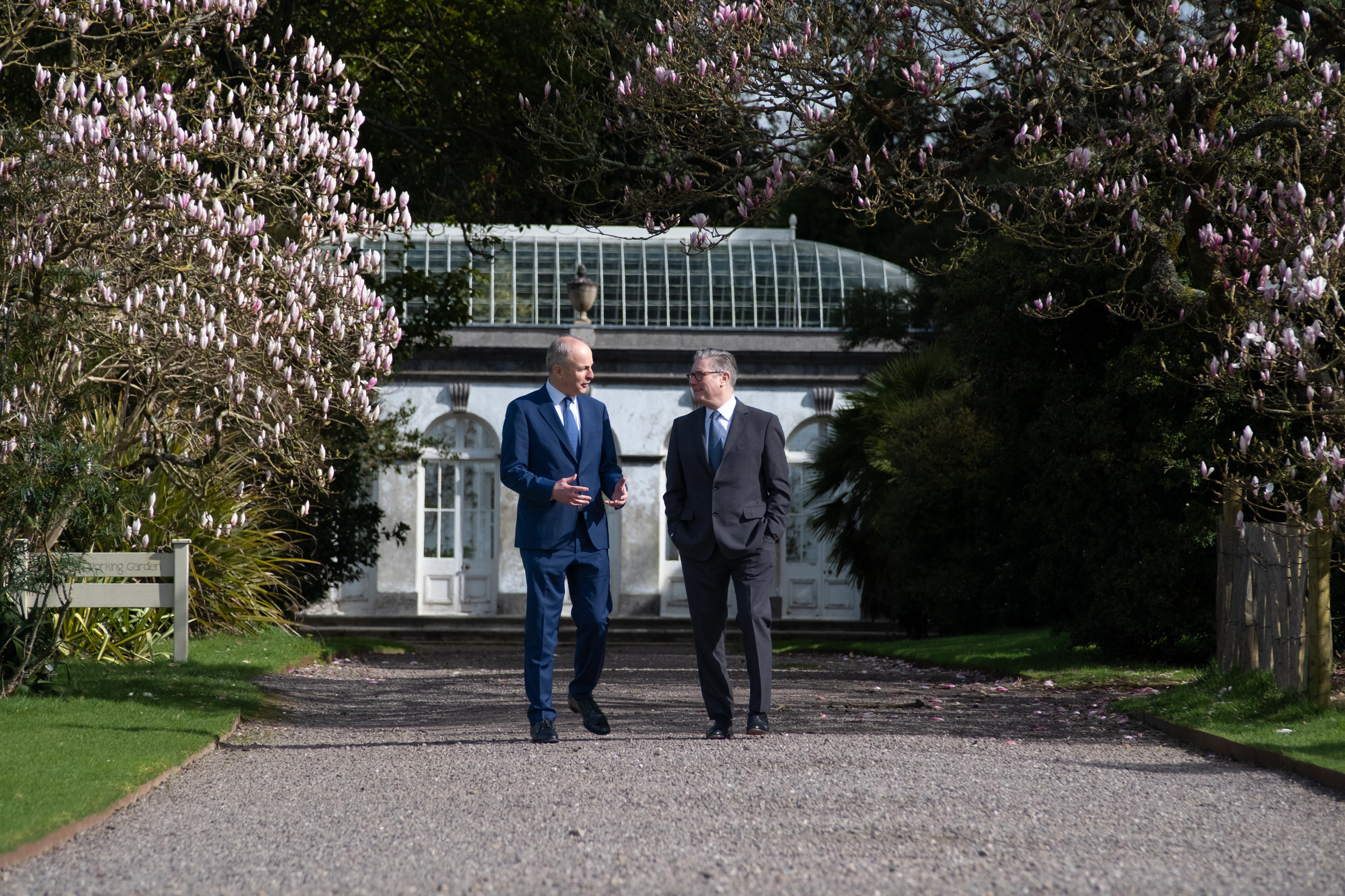 © 2026 Annabelle Hamil All rights reserved