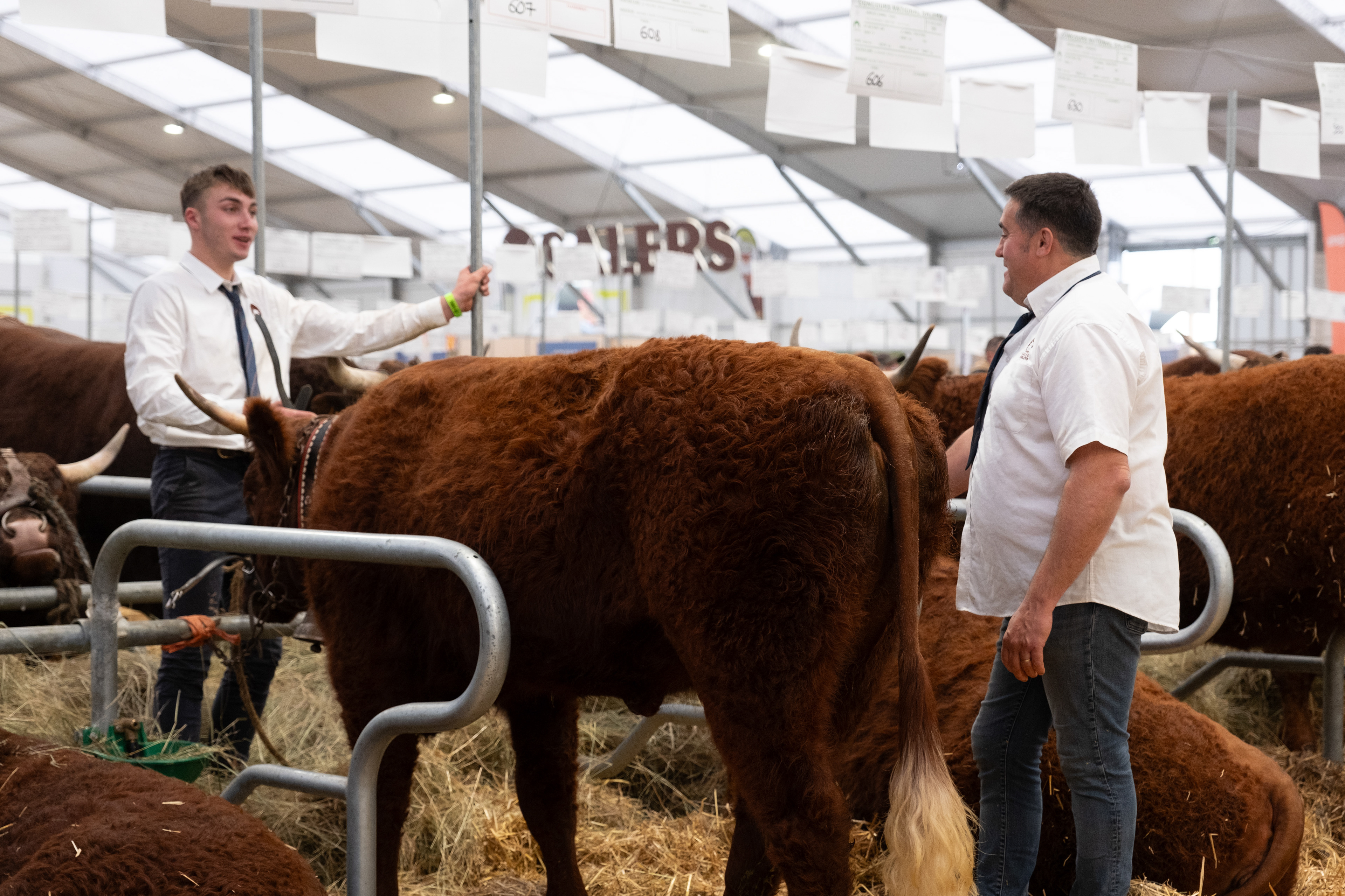 © All rights reserved, Annabelle Hamil 2026