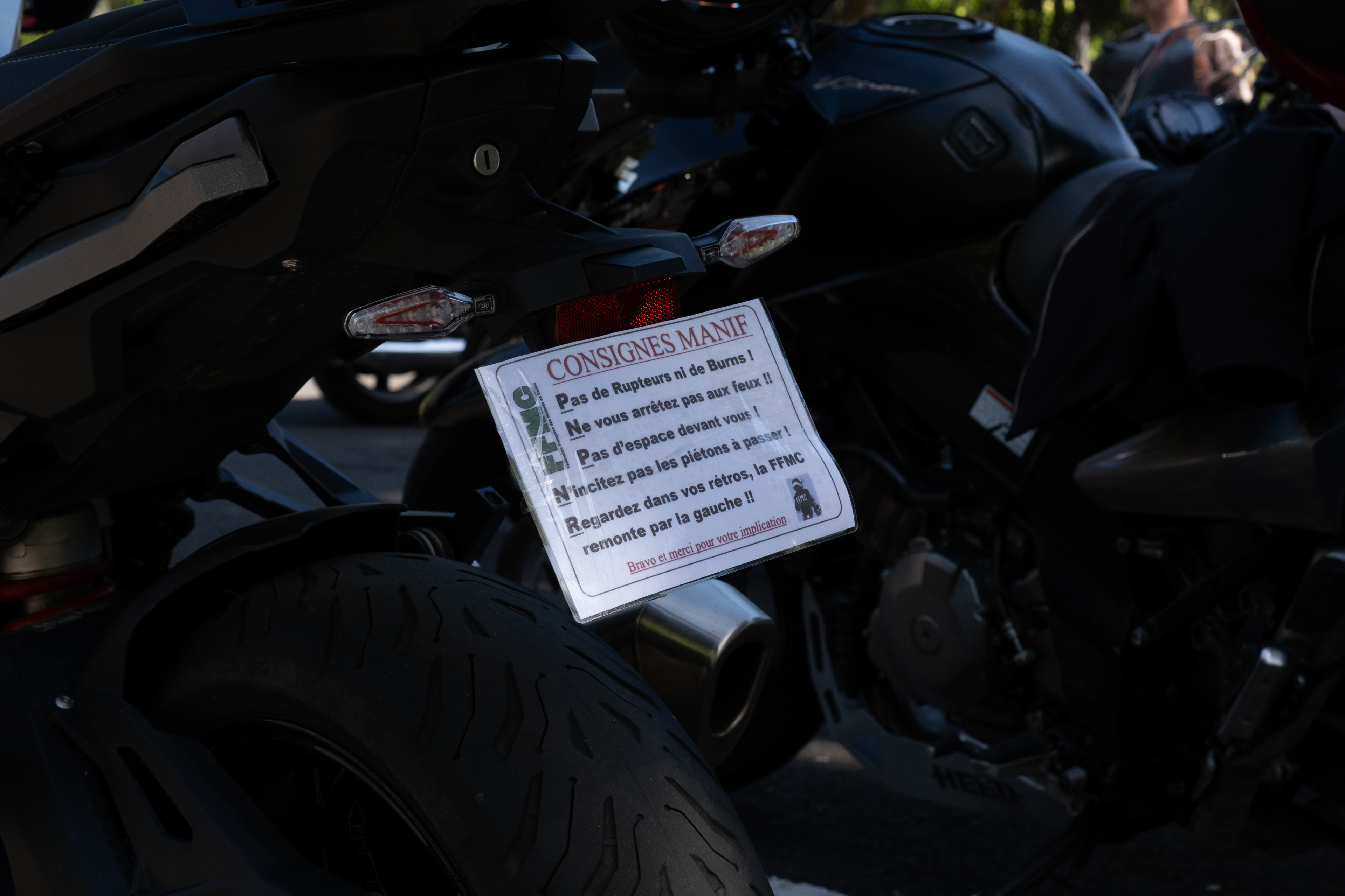 © All rights reserved, Annabelle Hamil