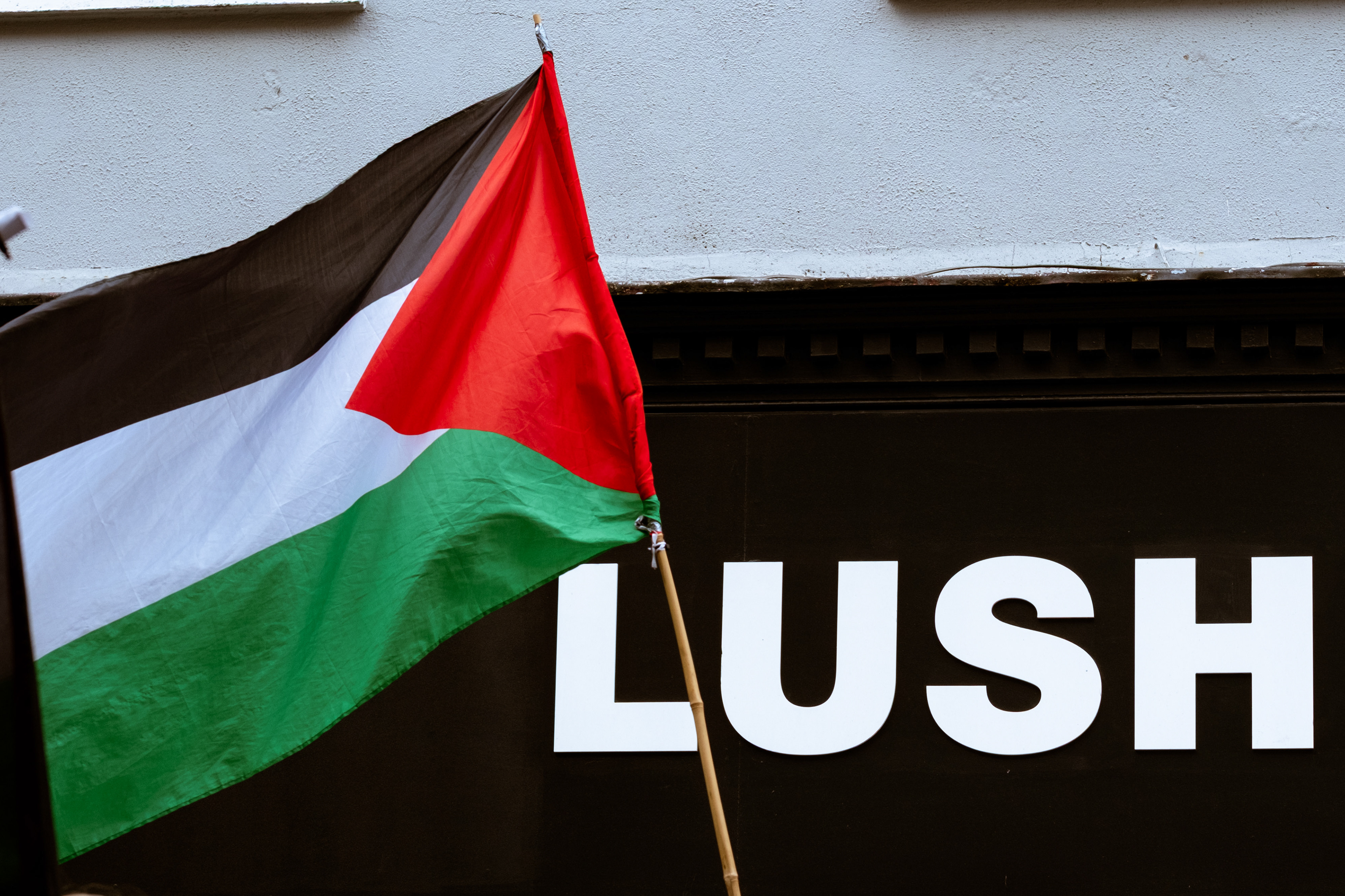 © All rights reserved, Annabelle Hamil