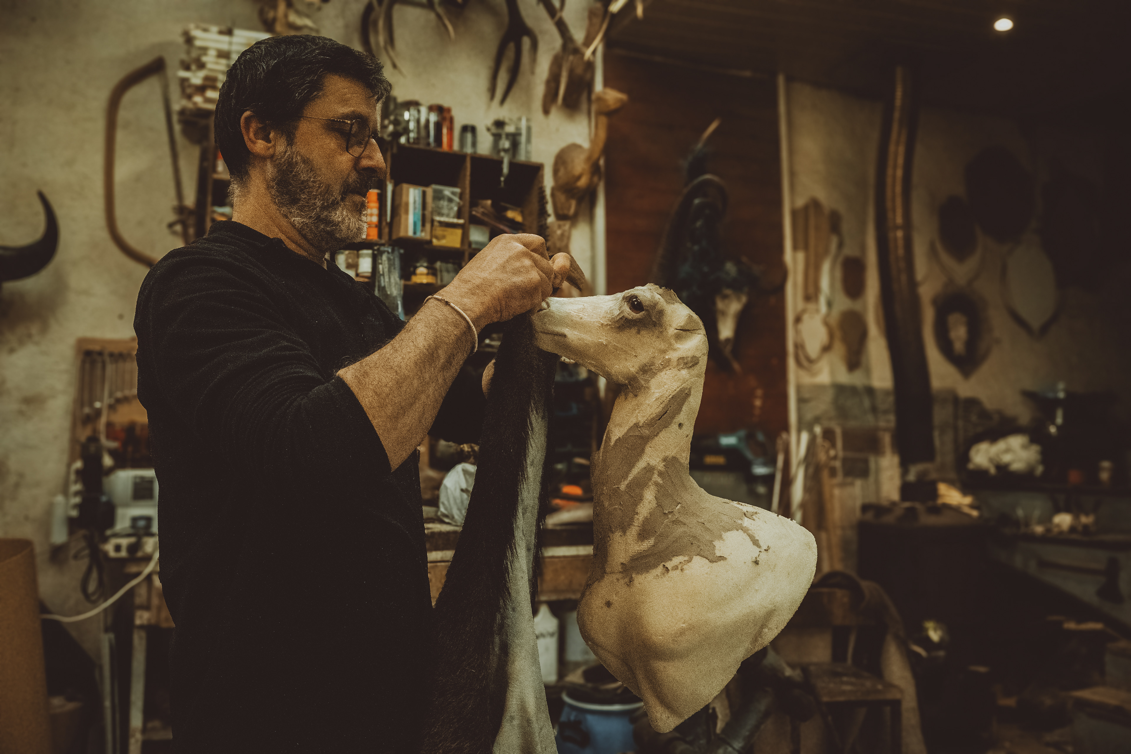 © All rights reserved, Annabelle Hamil 2025