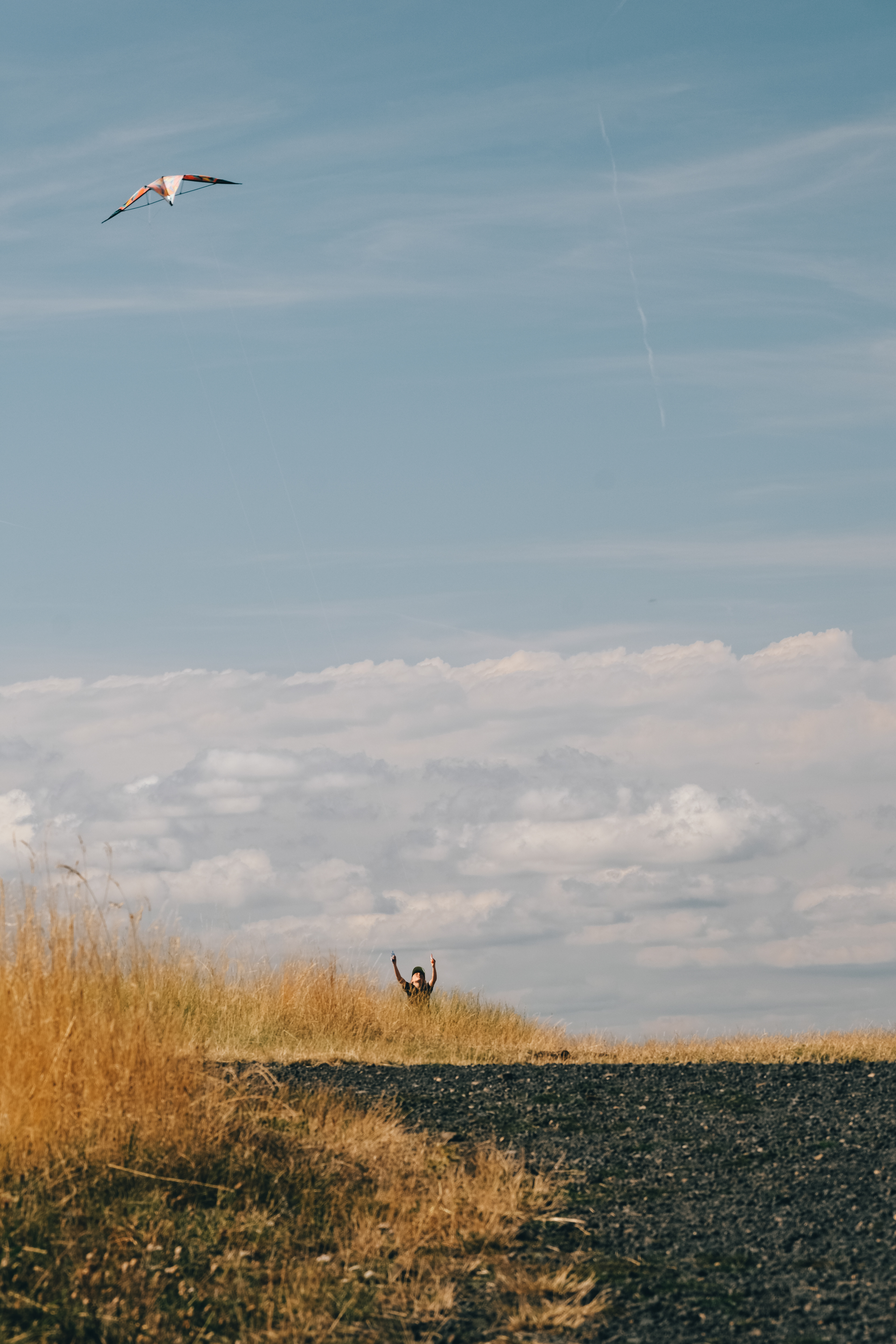 © All rights reserved, Annabelle Hamil 2025