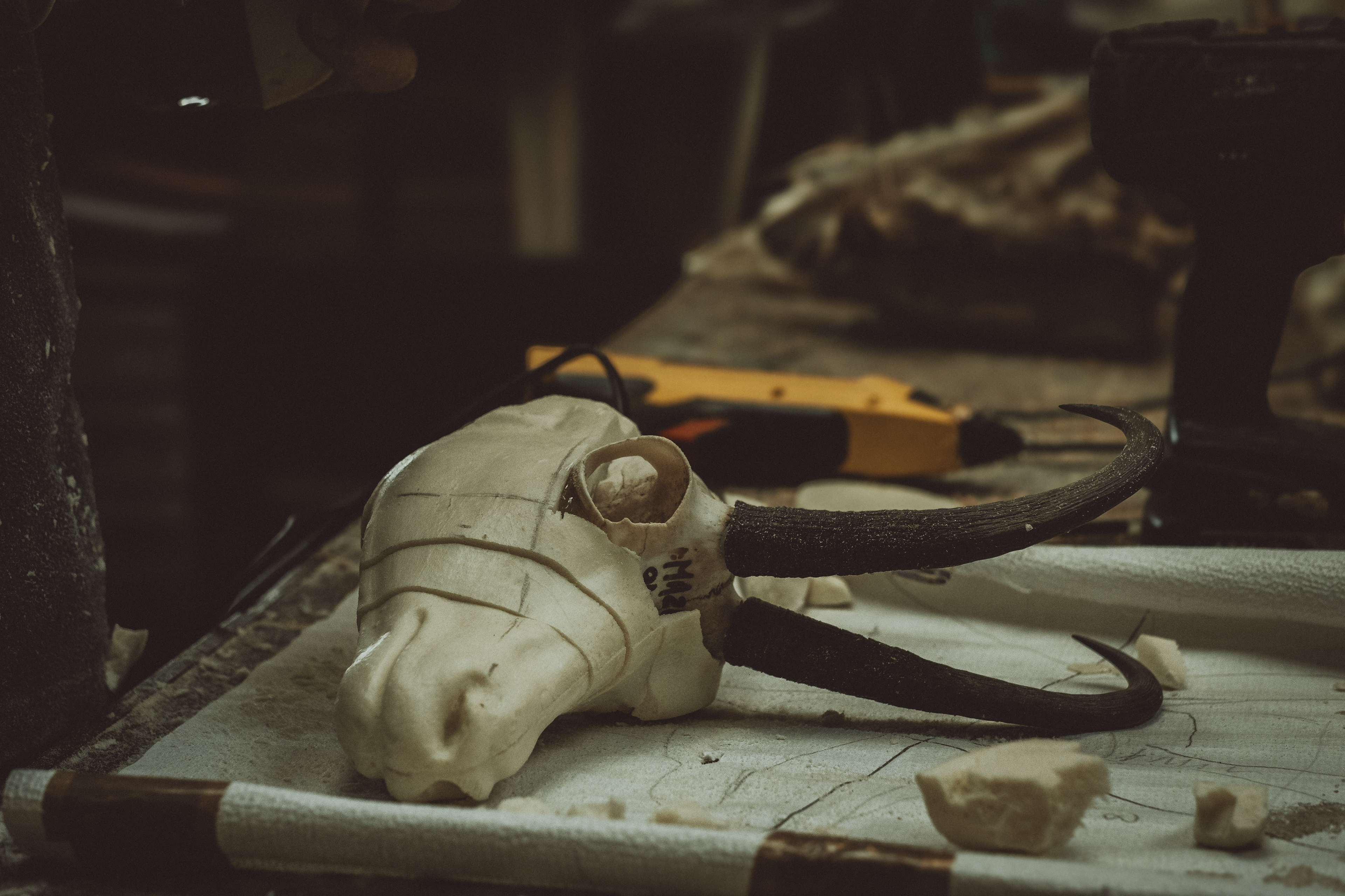 © All rights reserved, Annabelle Hamil 2025