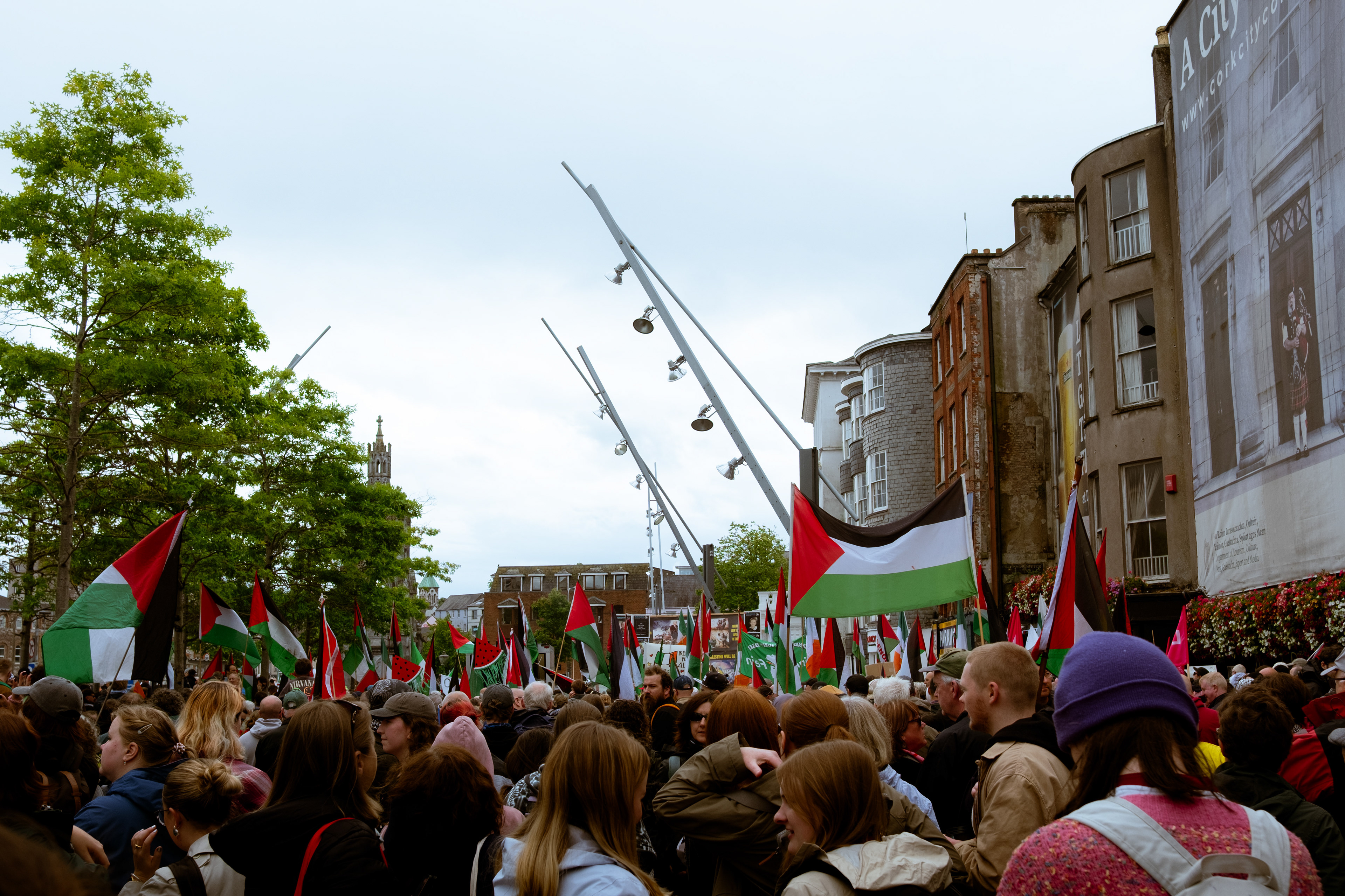 © All rights reserved, Annabelle Hamil