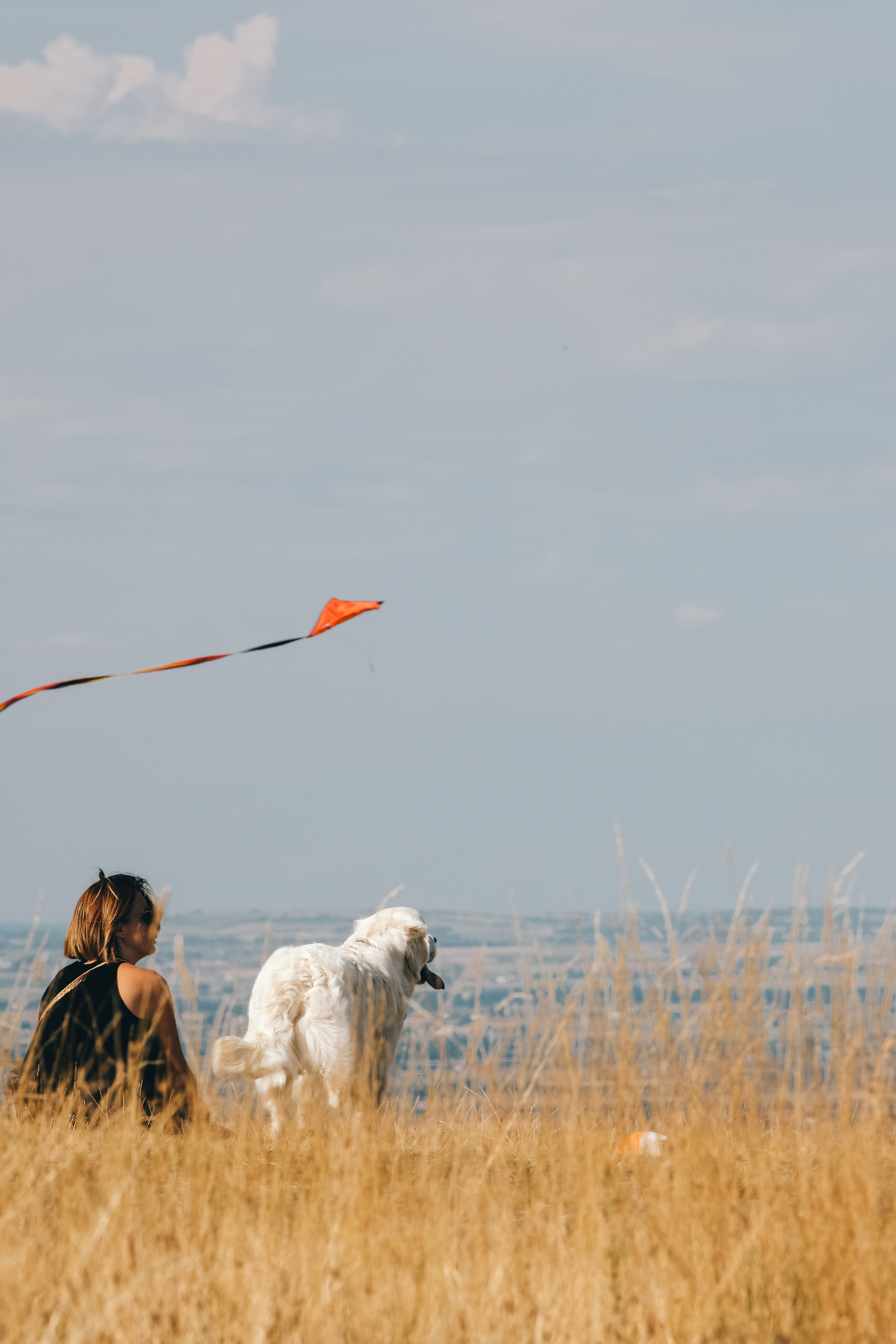 © All rights reserved, Annabelle Hamil 2025