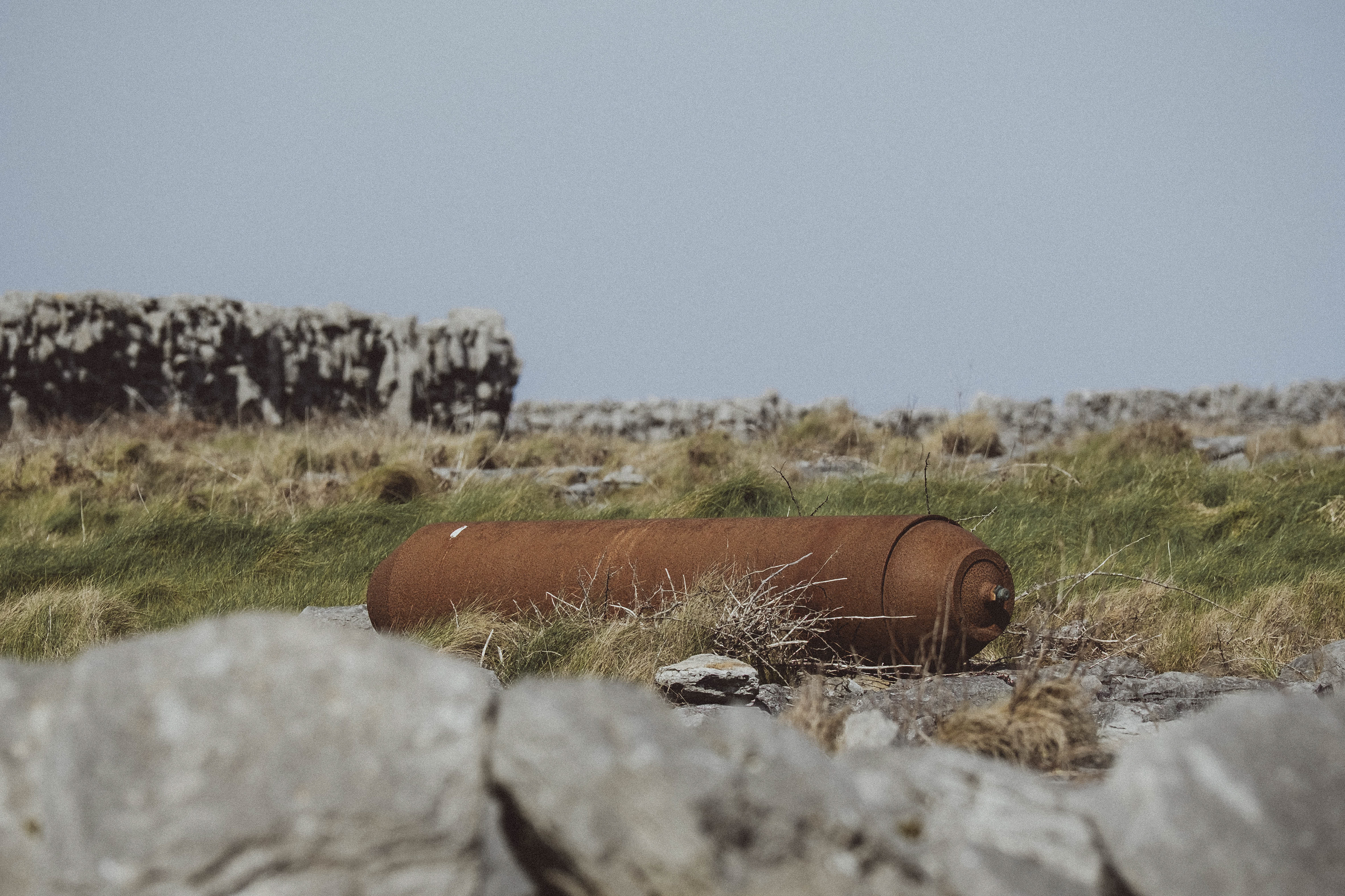         © 2026 Annabelle Hamil All rights reserved