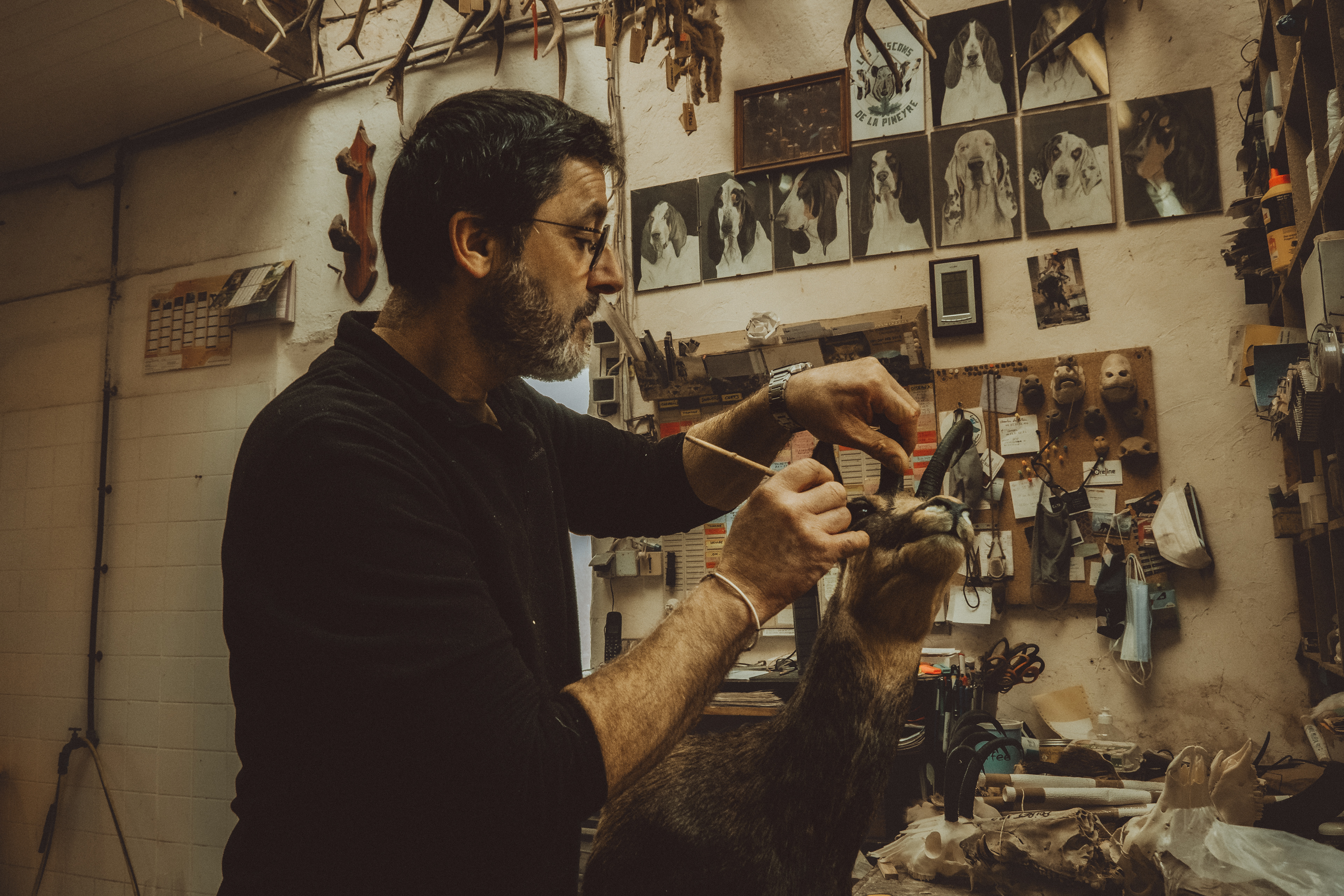 © All rights reserved, Annabelle Hamil 2025