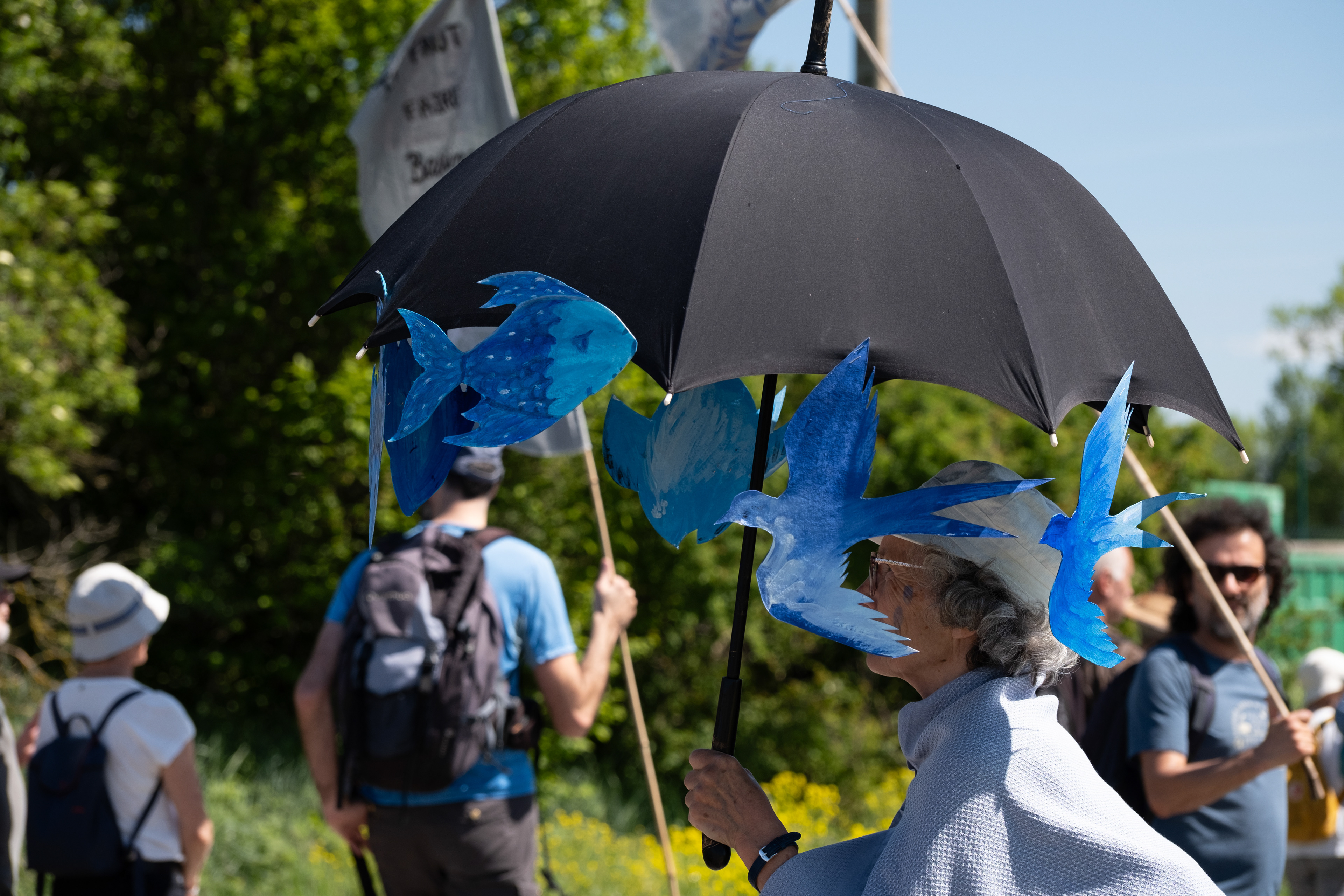 © All rights reserved, Annabelle Hamil