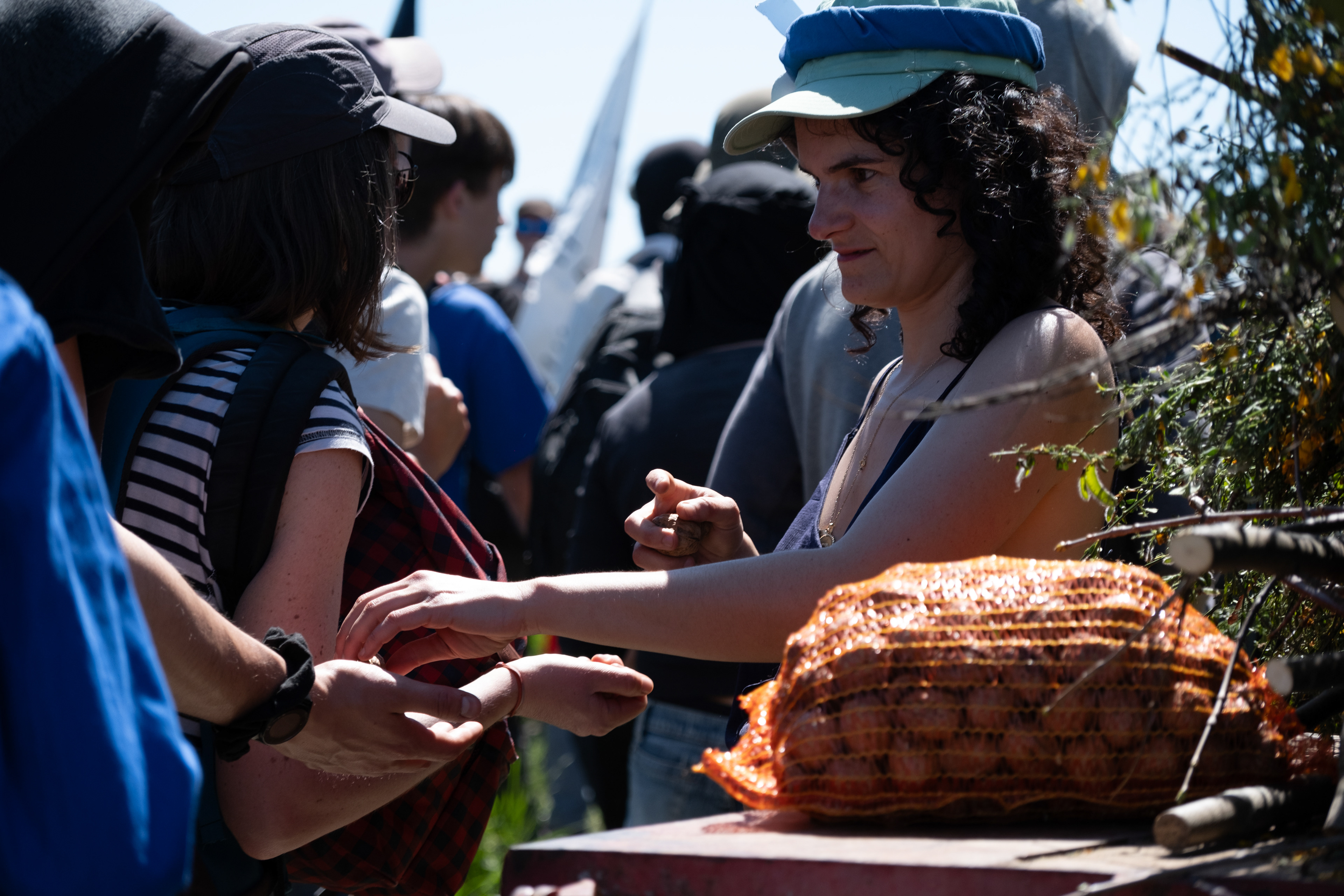 © All rights reserved, Annabelle Hamil