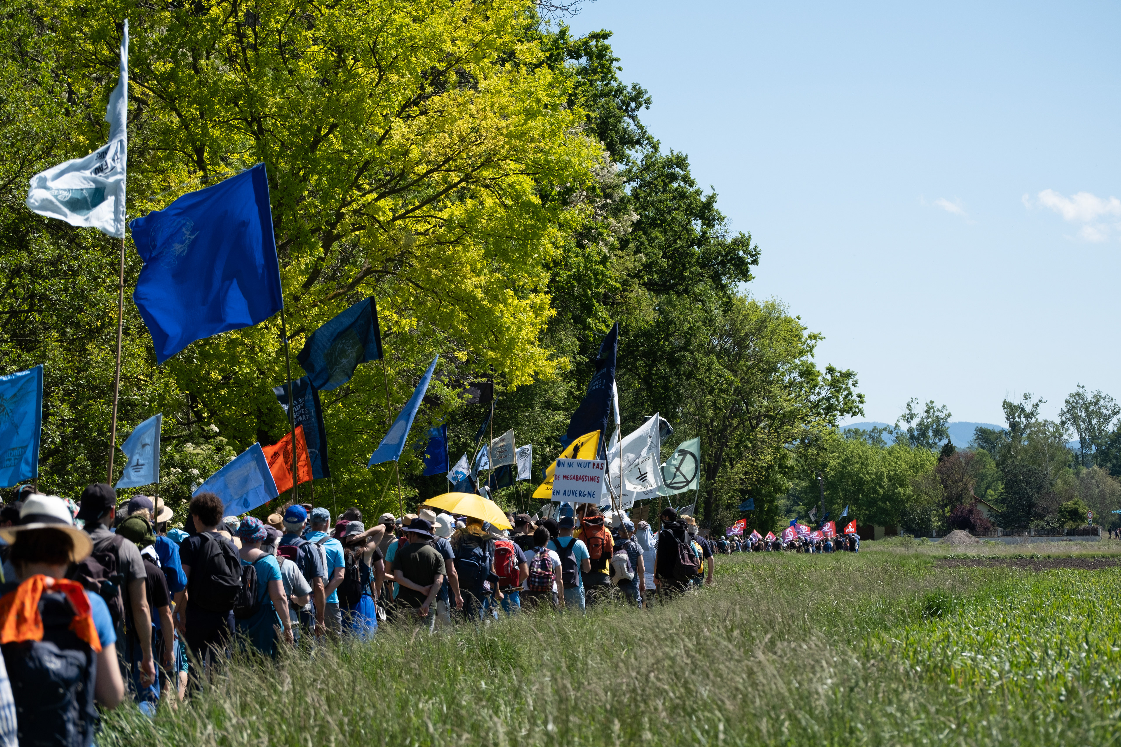 © All rights reserved, Annabelle Hamil