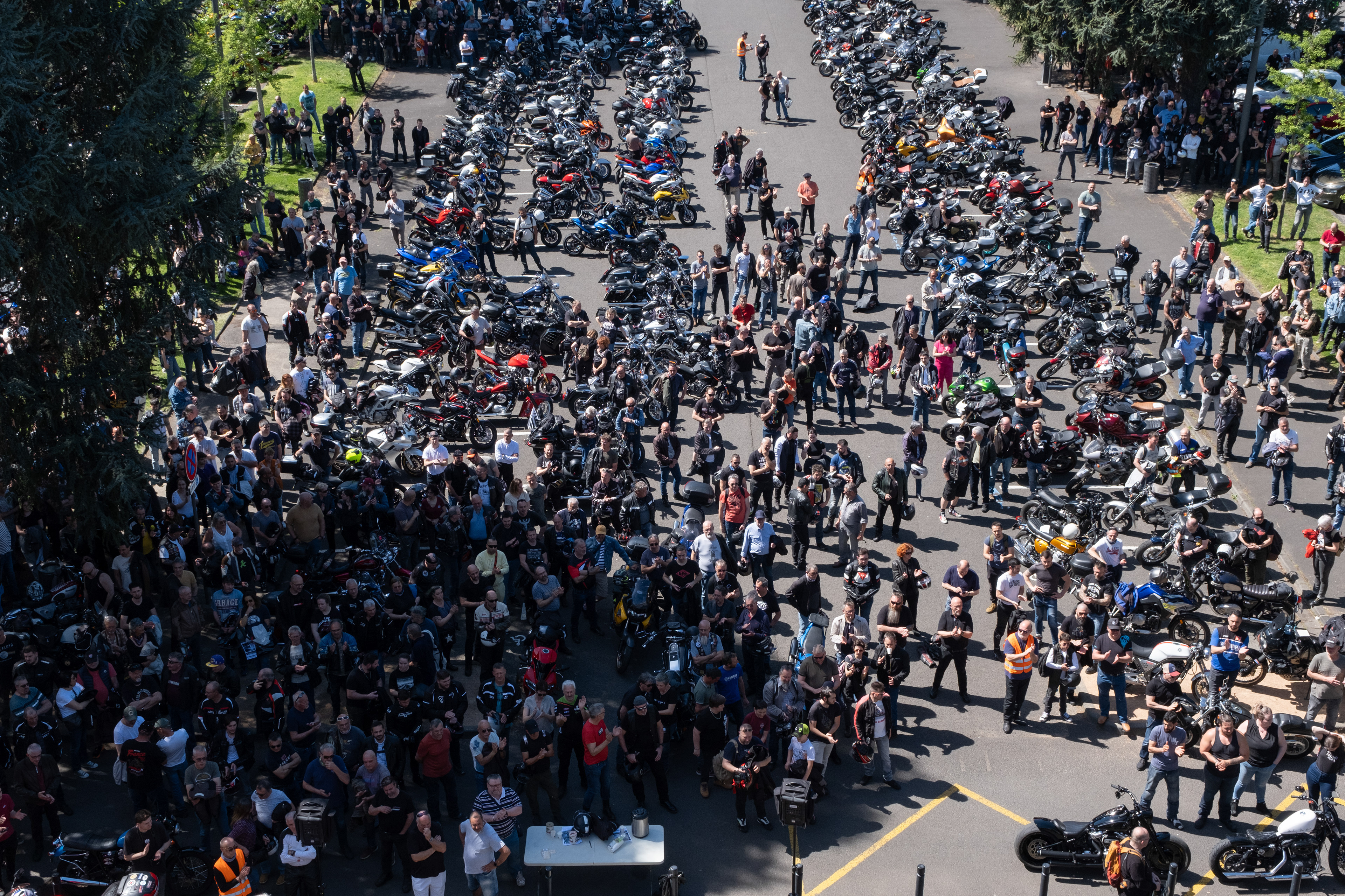 © All rights reserved, Annabelle Hamil