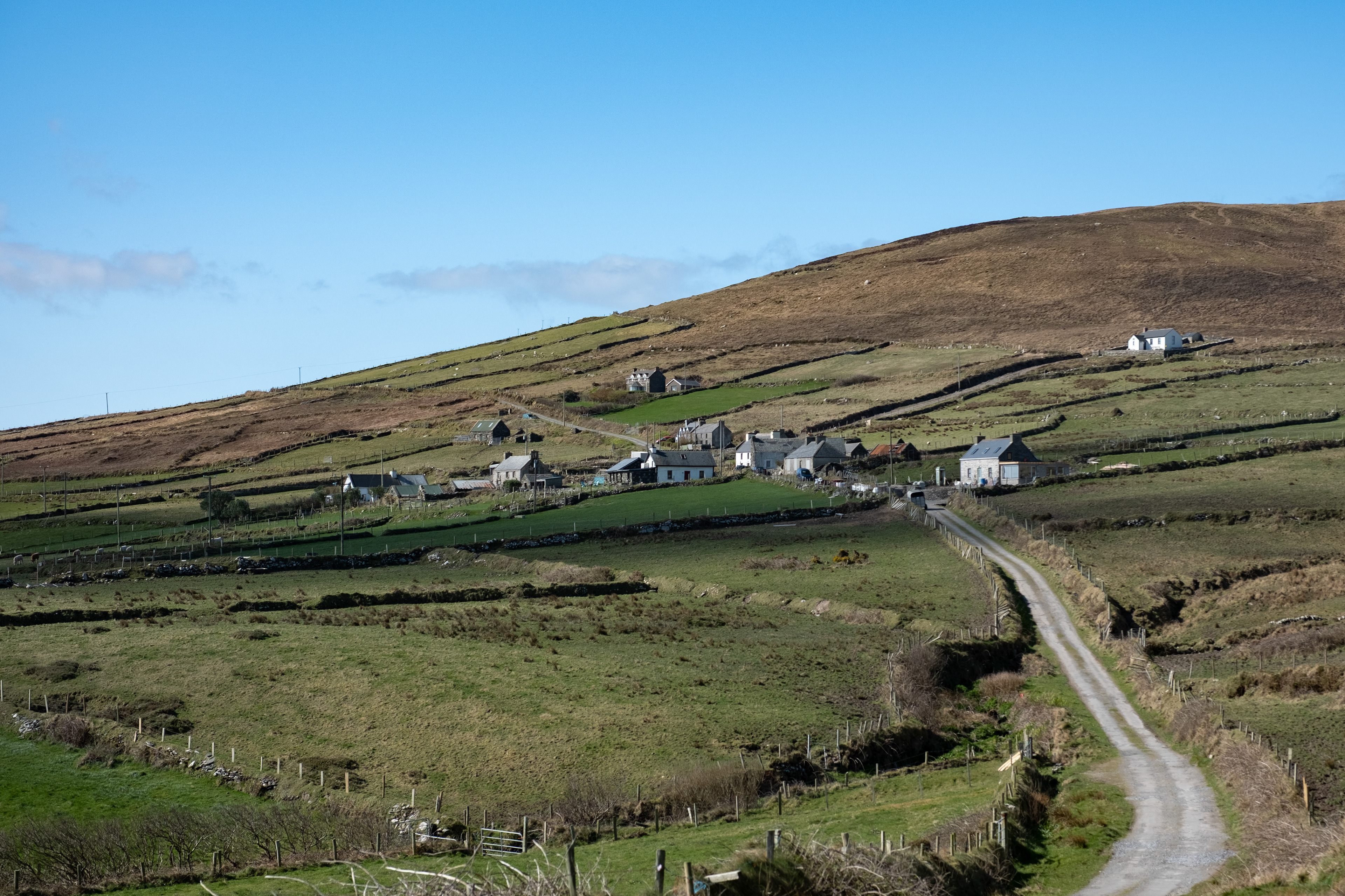 © All rights reserved, Annabelle Hamil 2025