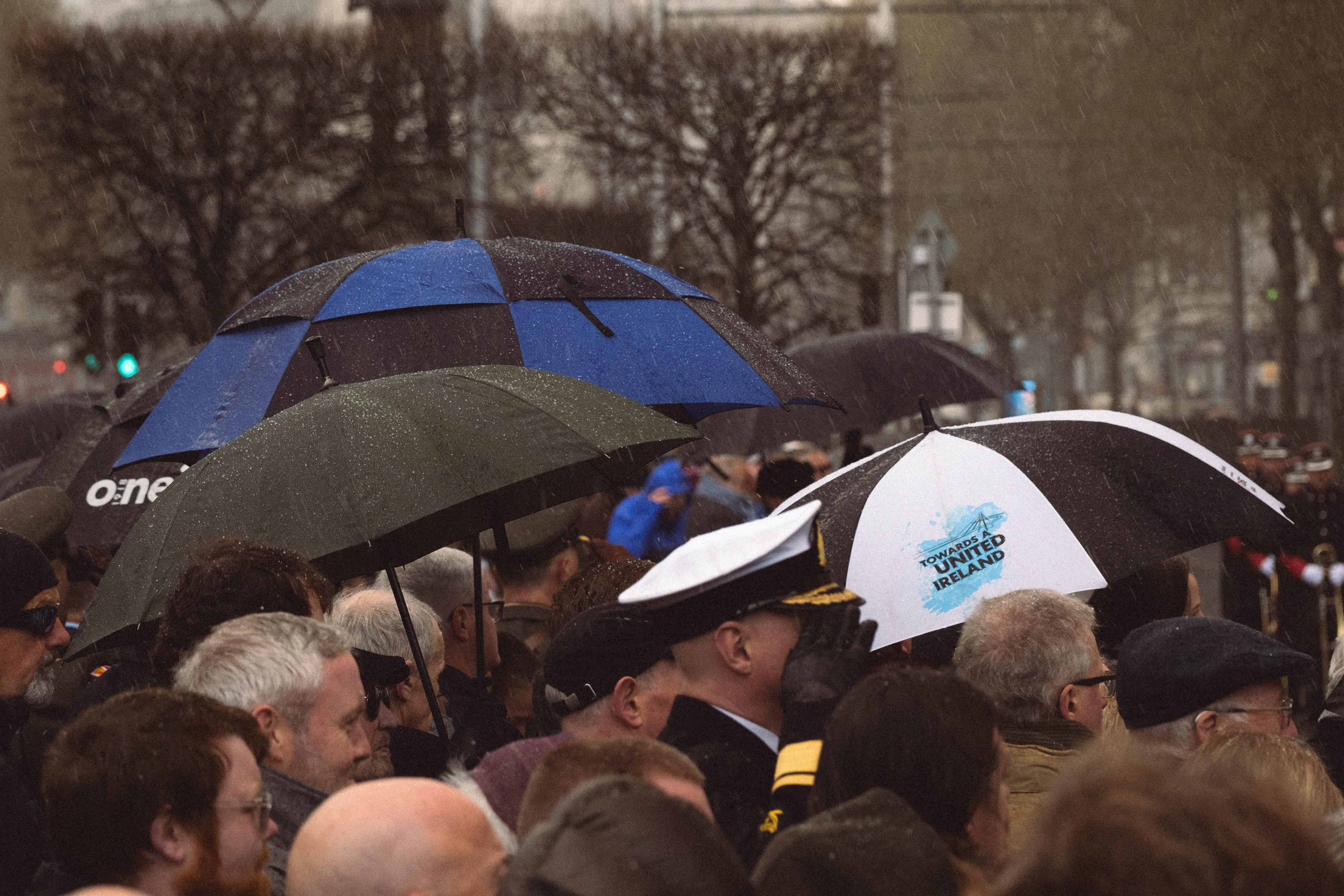 © 2026 Annabelle Hamil All rights reserved