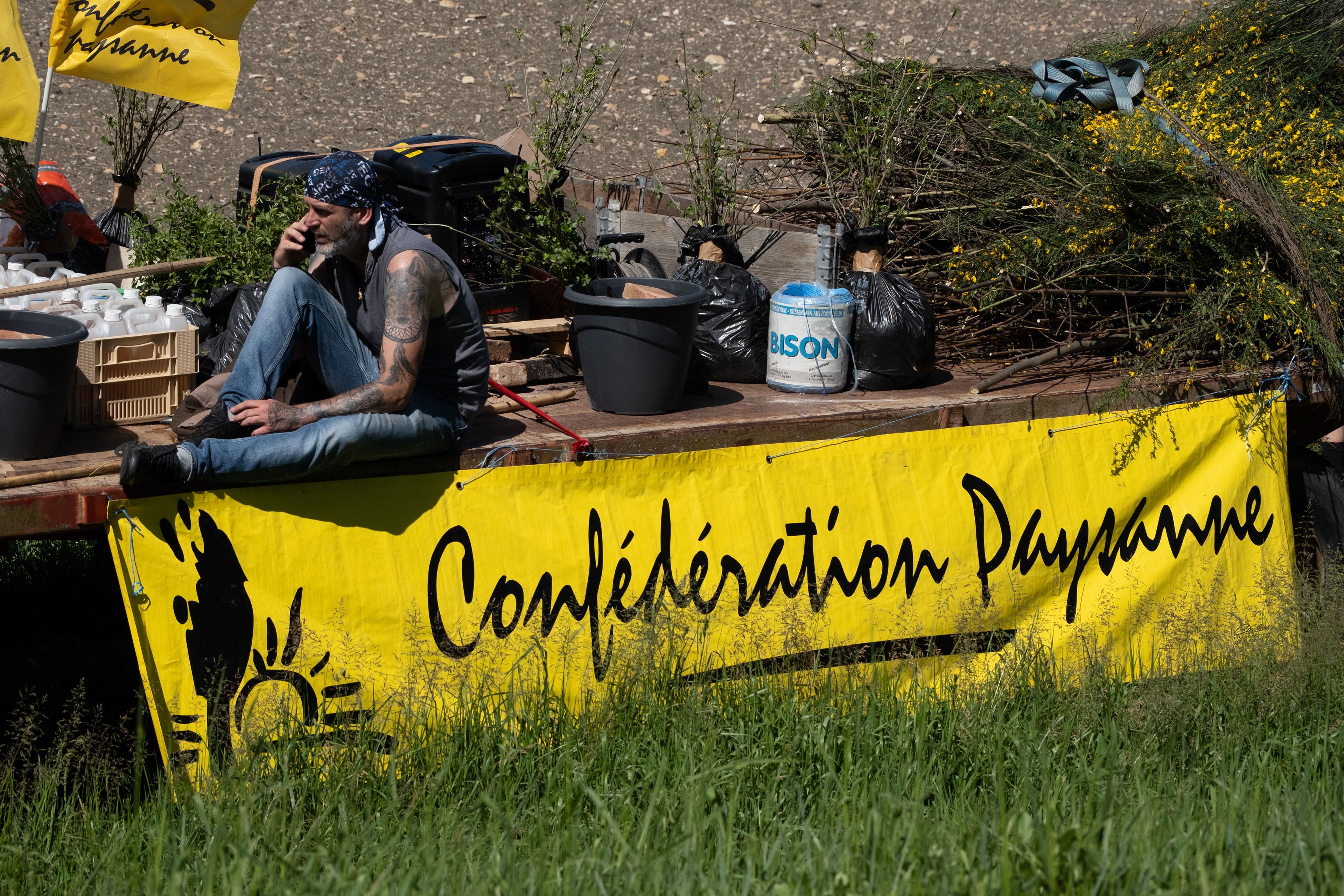 © All rights reserved, Annabelle Hamil