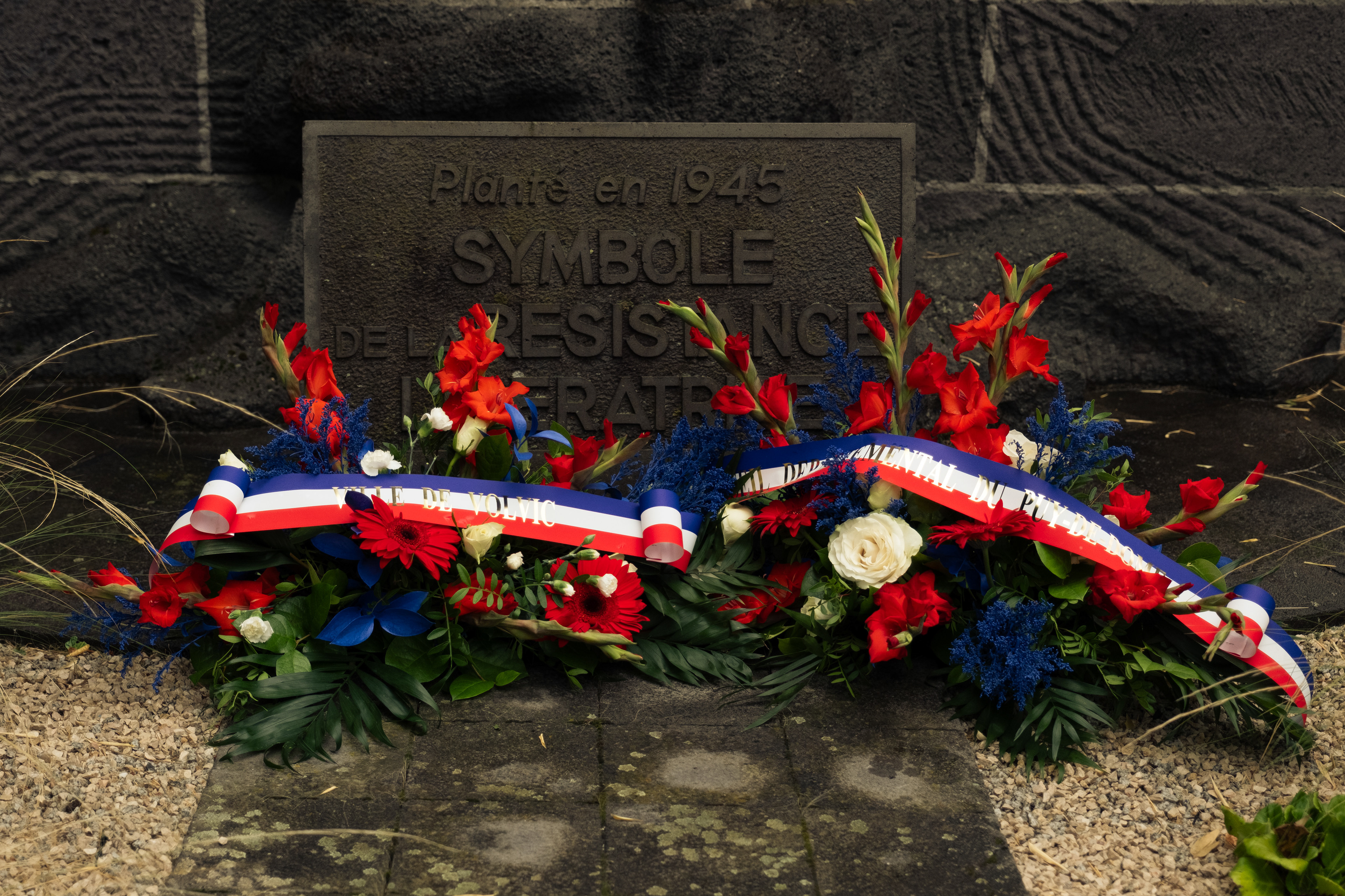 © All rights reserved, Annabelle Hamil 2025