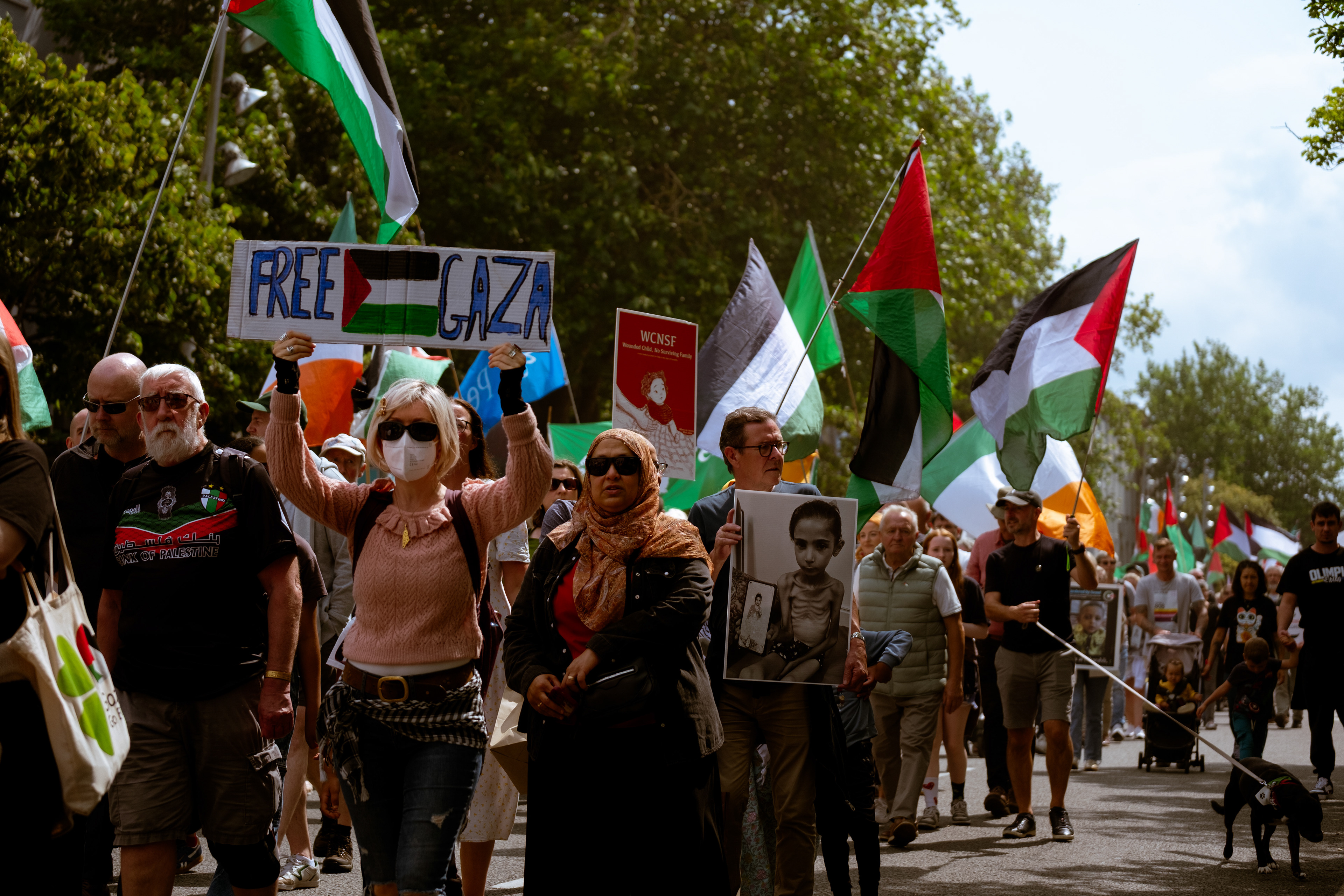 © All rights reserved, Annabelle Hamil