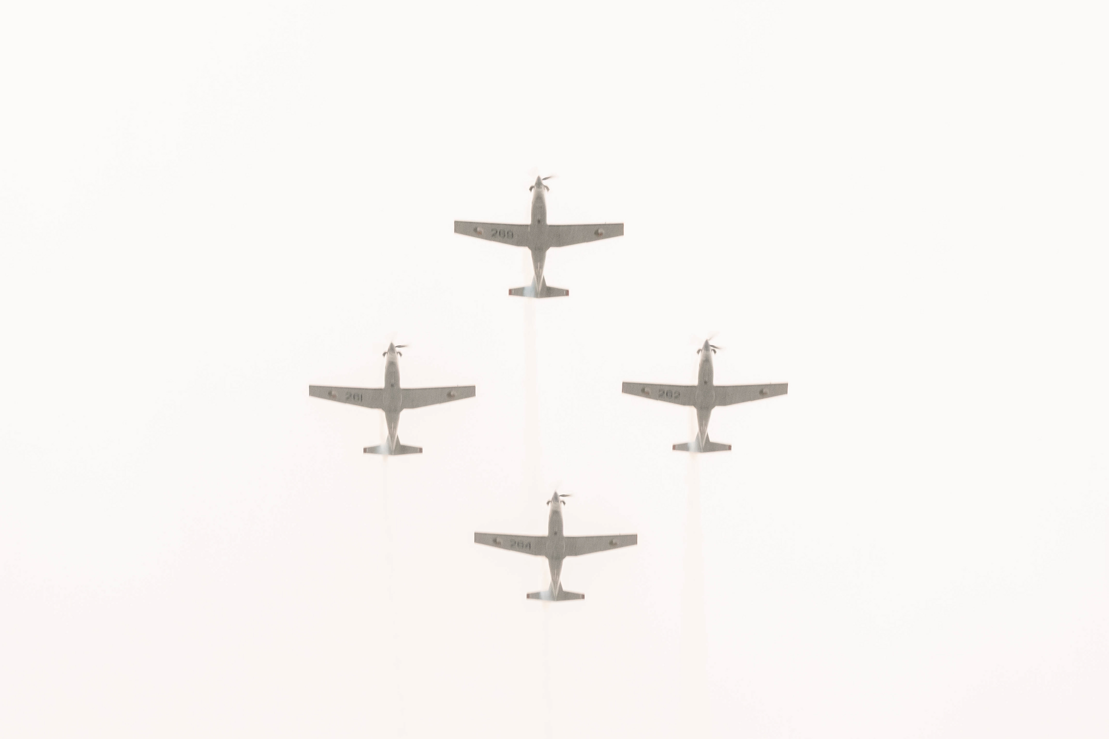 © 2026 Annabelle Hamil All rights reserved