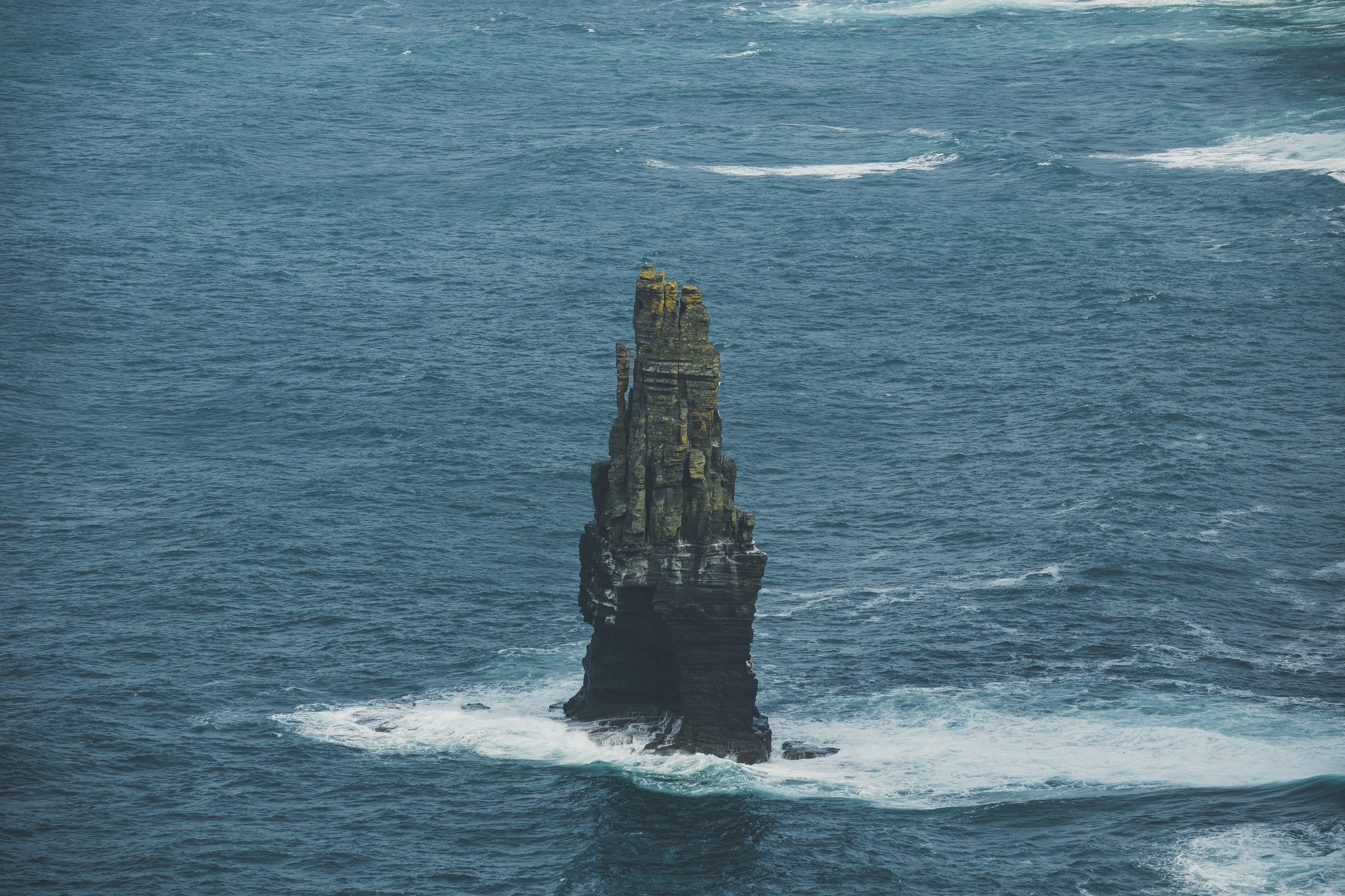 © All rights reserved, Annabelle Hamil 2025