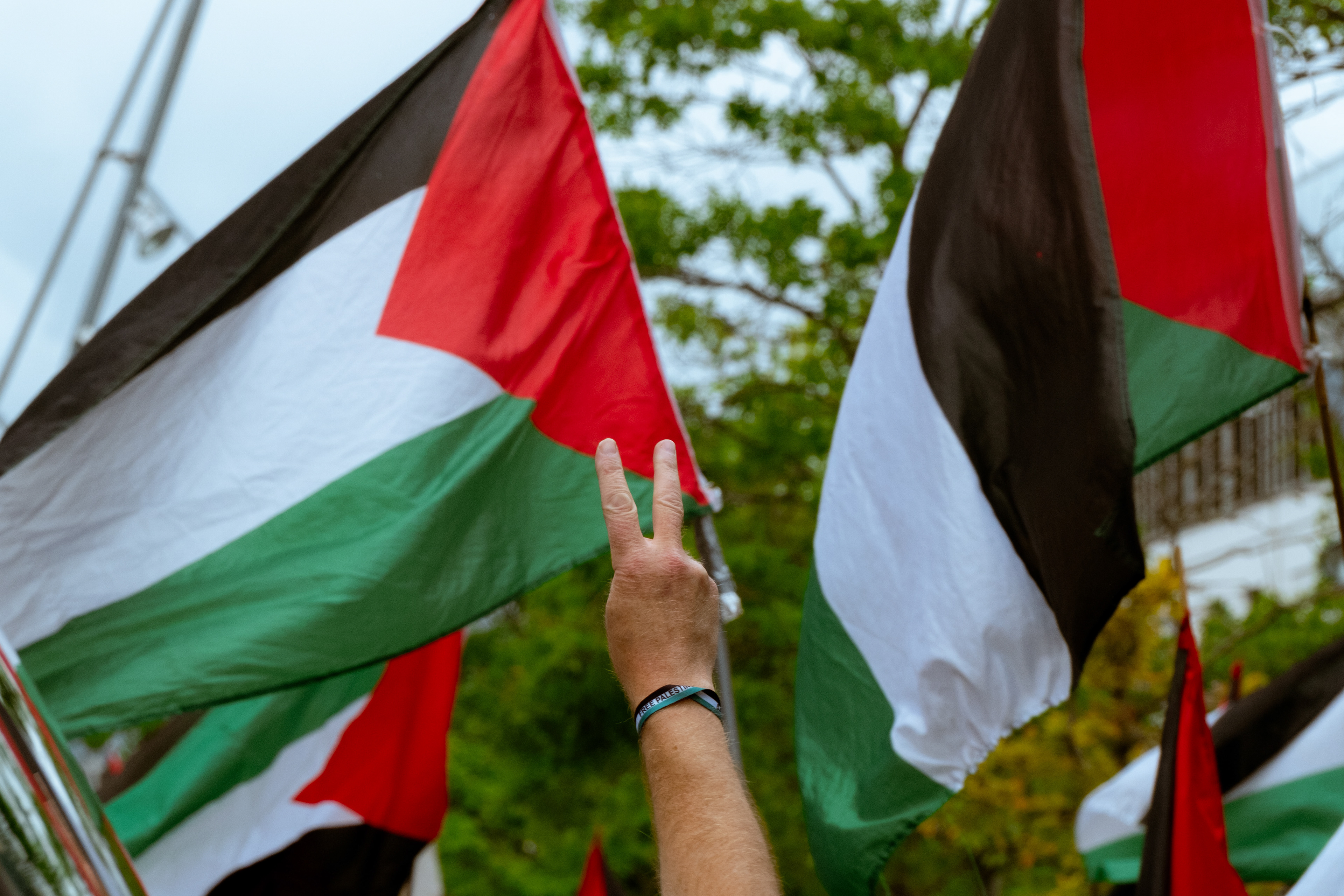 © All rights reserved, Annabelle Hamil