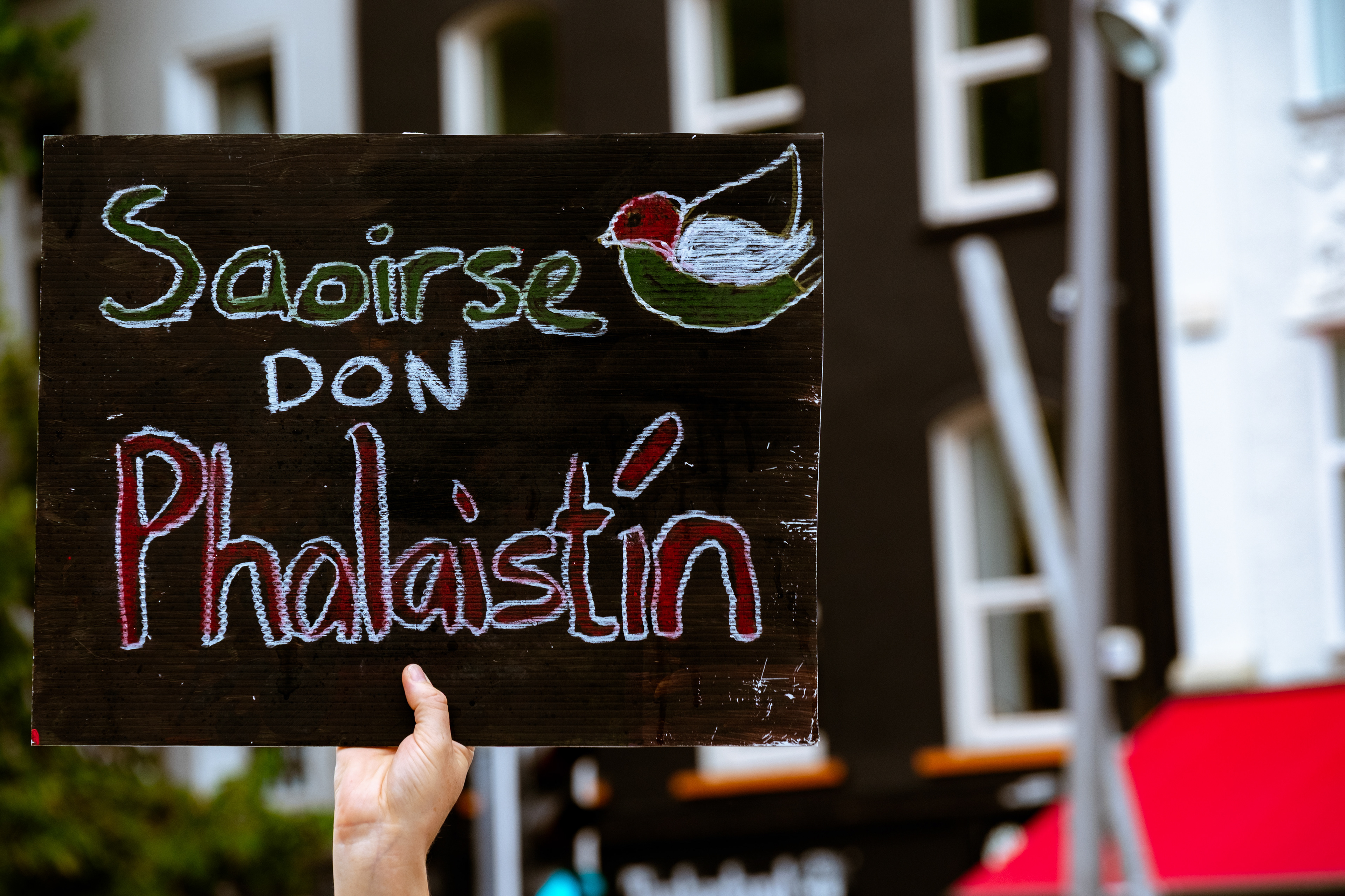 © All rights reserved, Annabelle Hamil