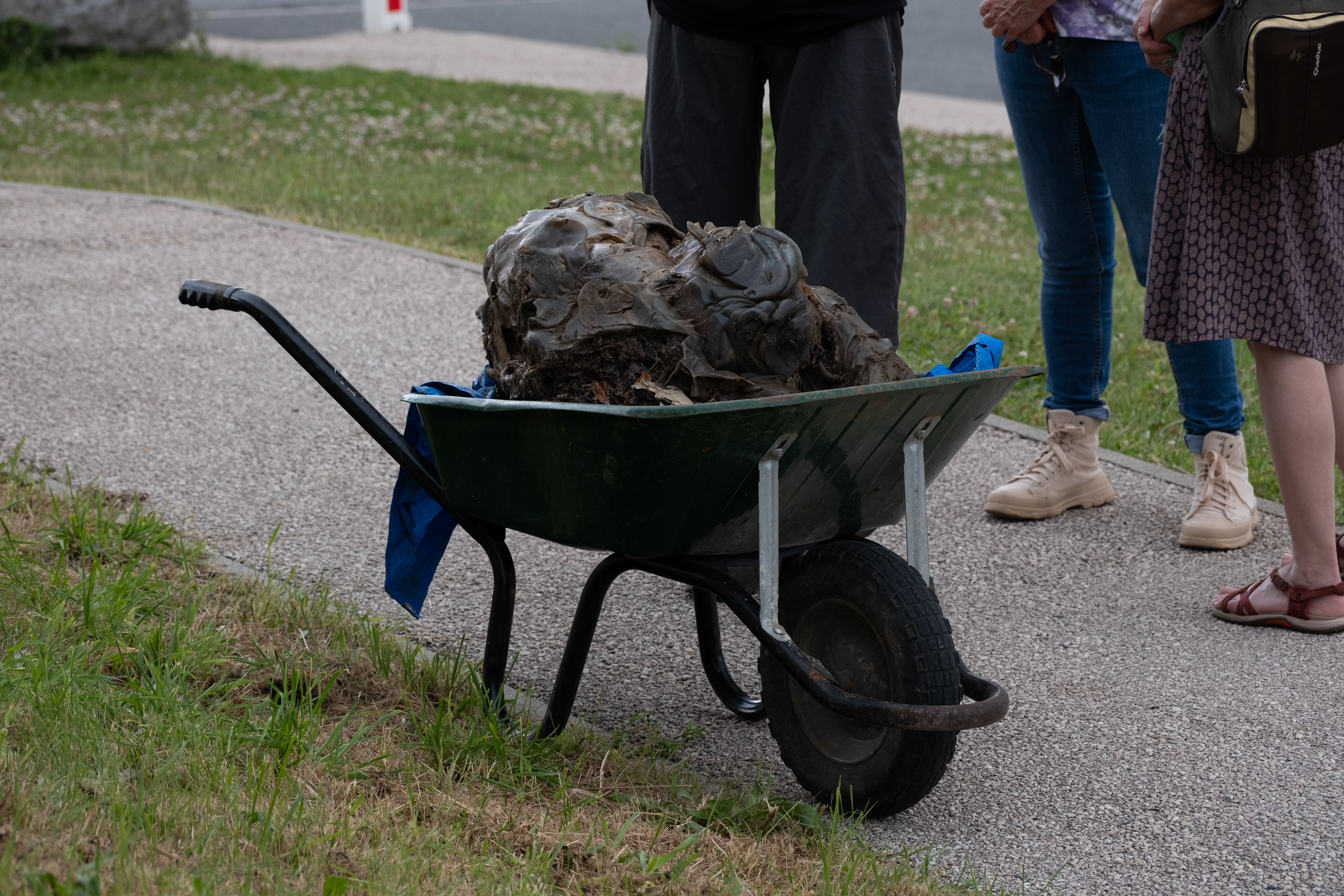 © All rights reserved, Annabelle Hamil