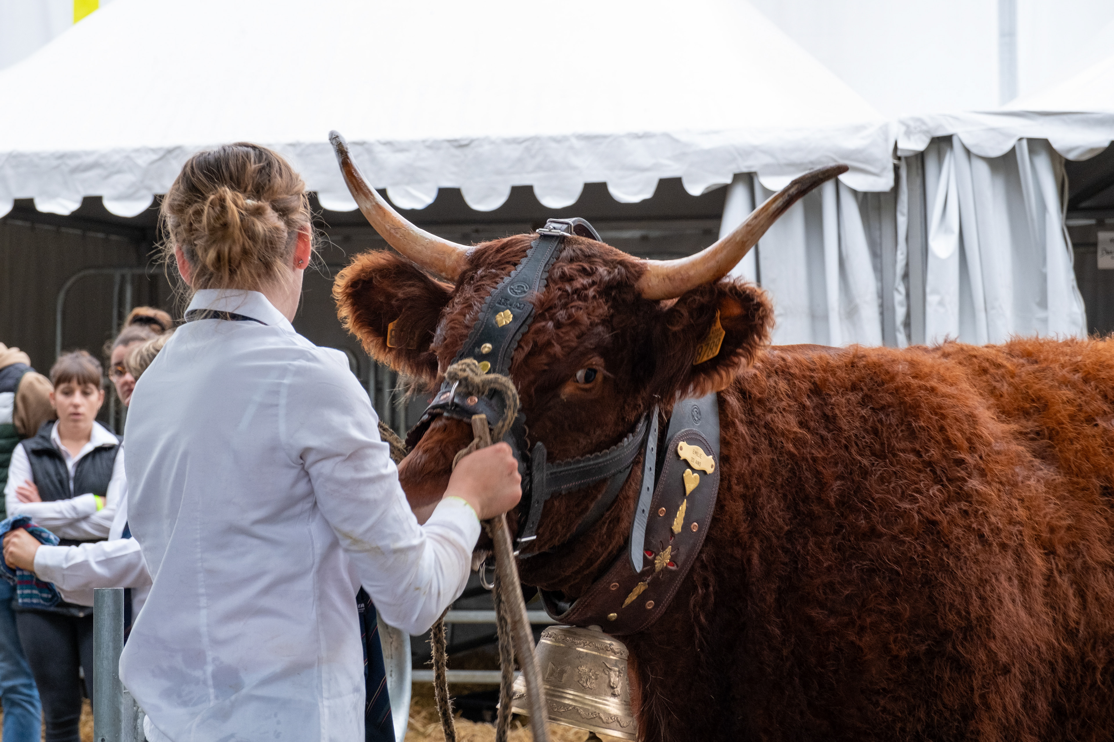 © All rights reserved, Annabelle Hamil 2026