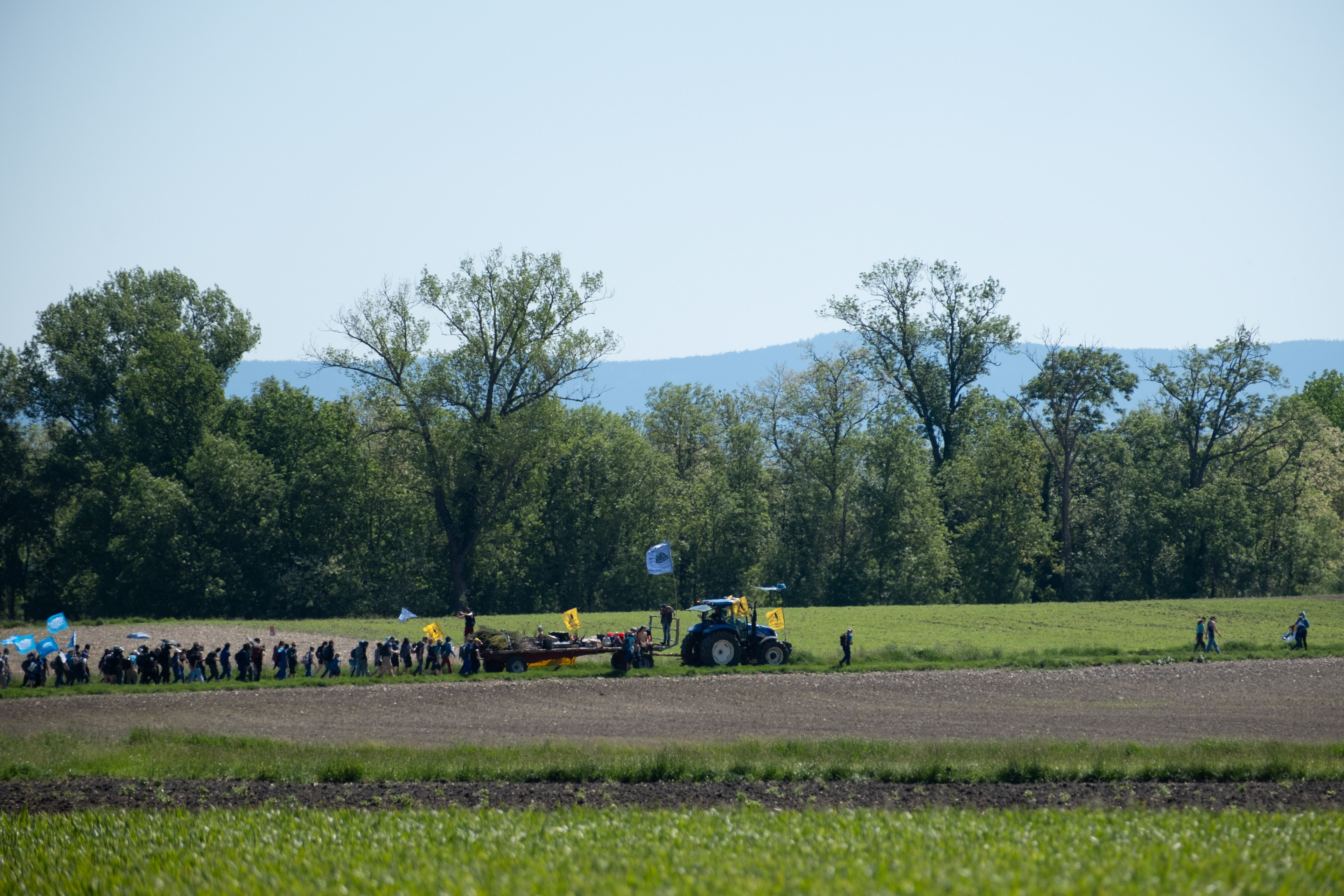 © All rights reserved, Annabelle Hamil