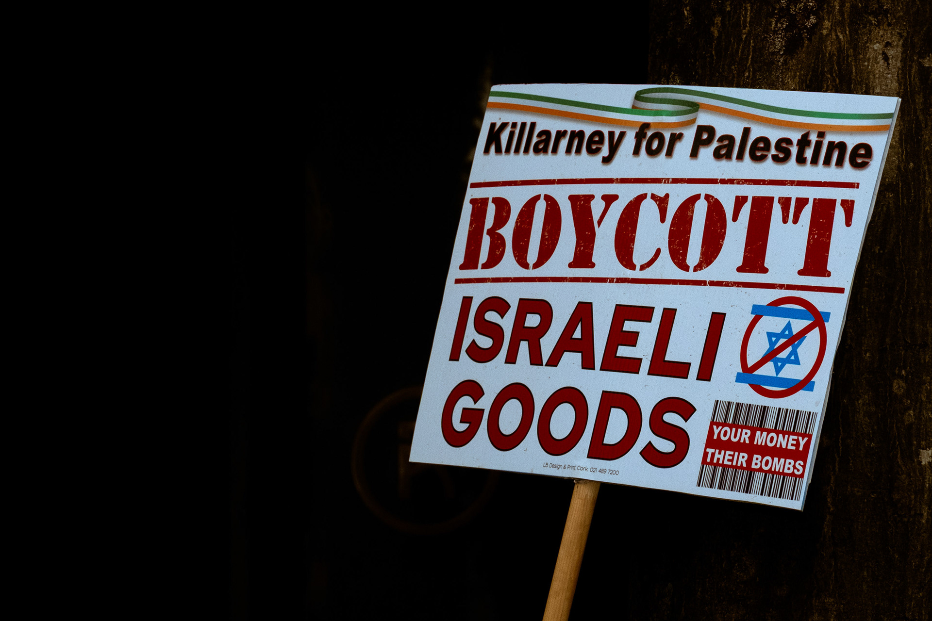 © All rights reserved, Annabelle Hamil