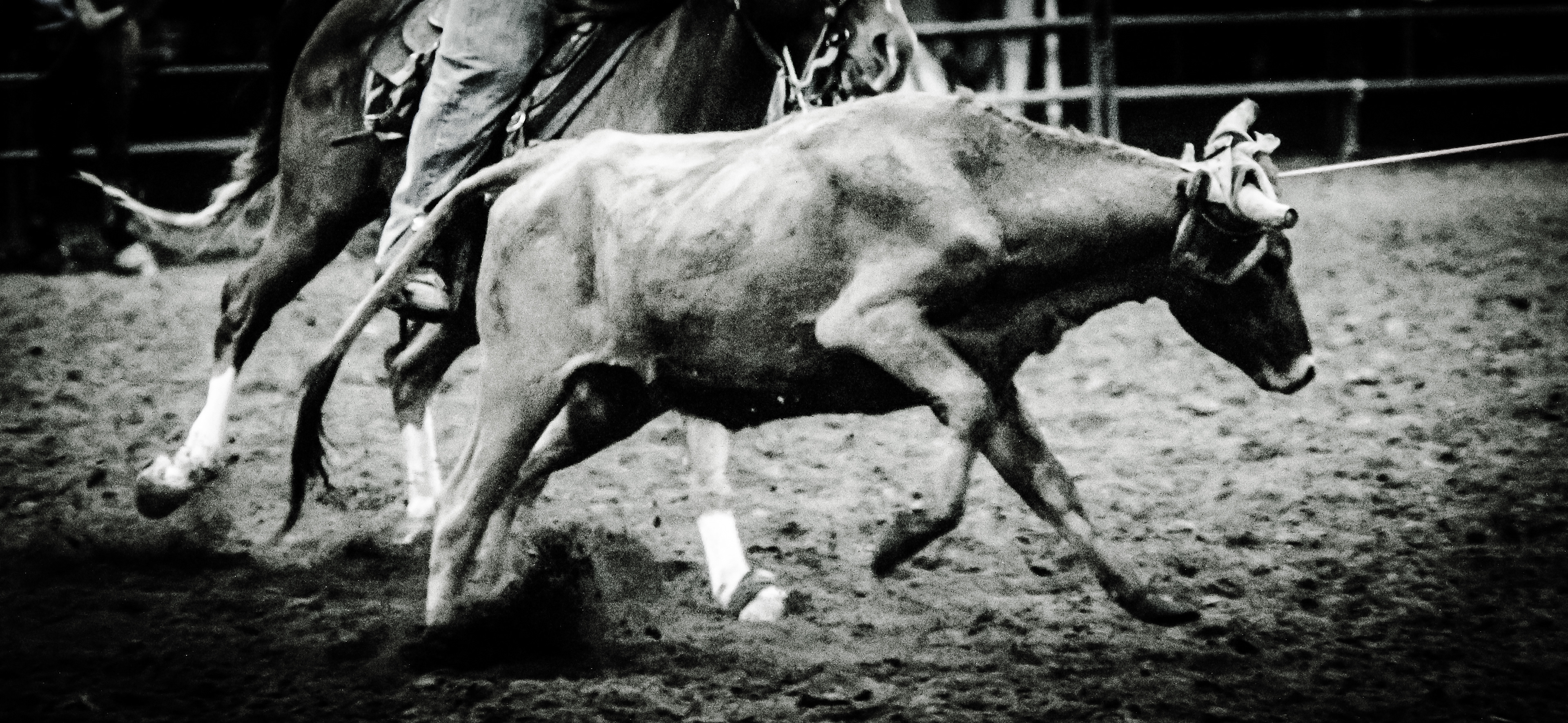 Roping