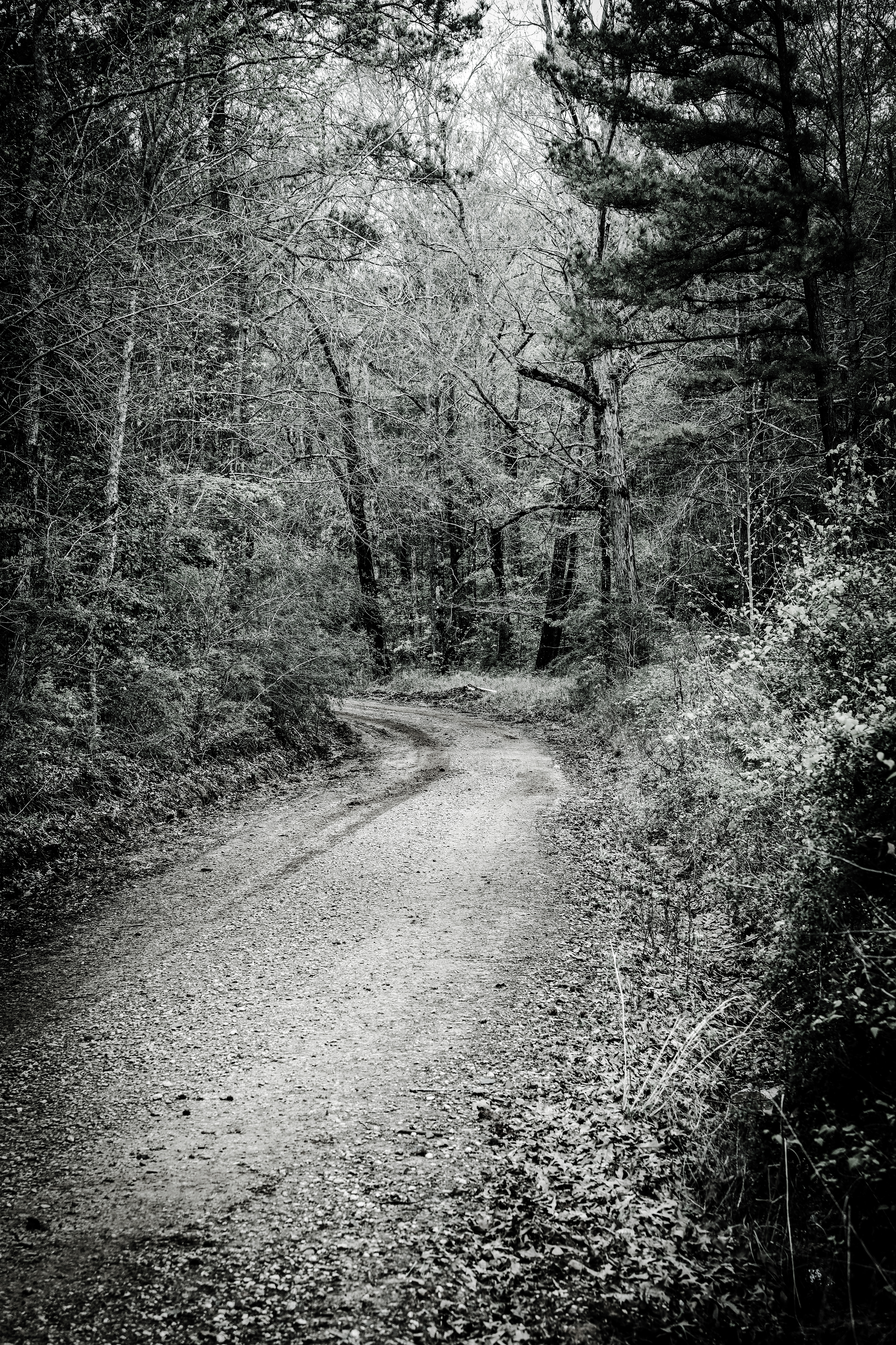 Country Road 1
