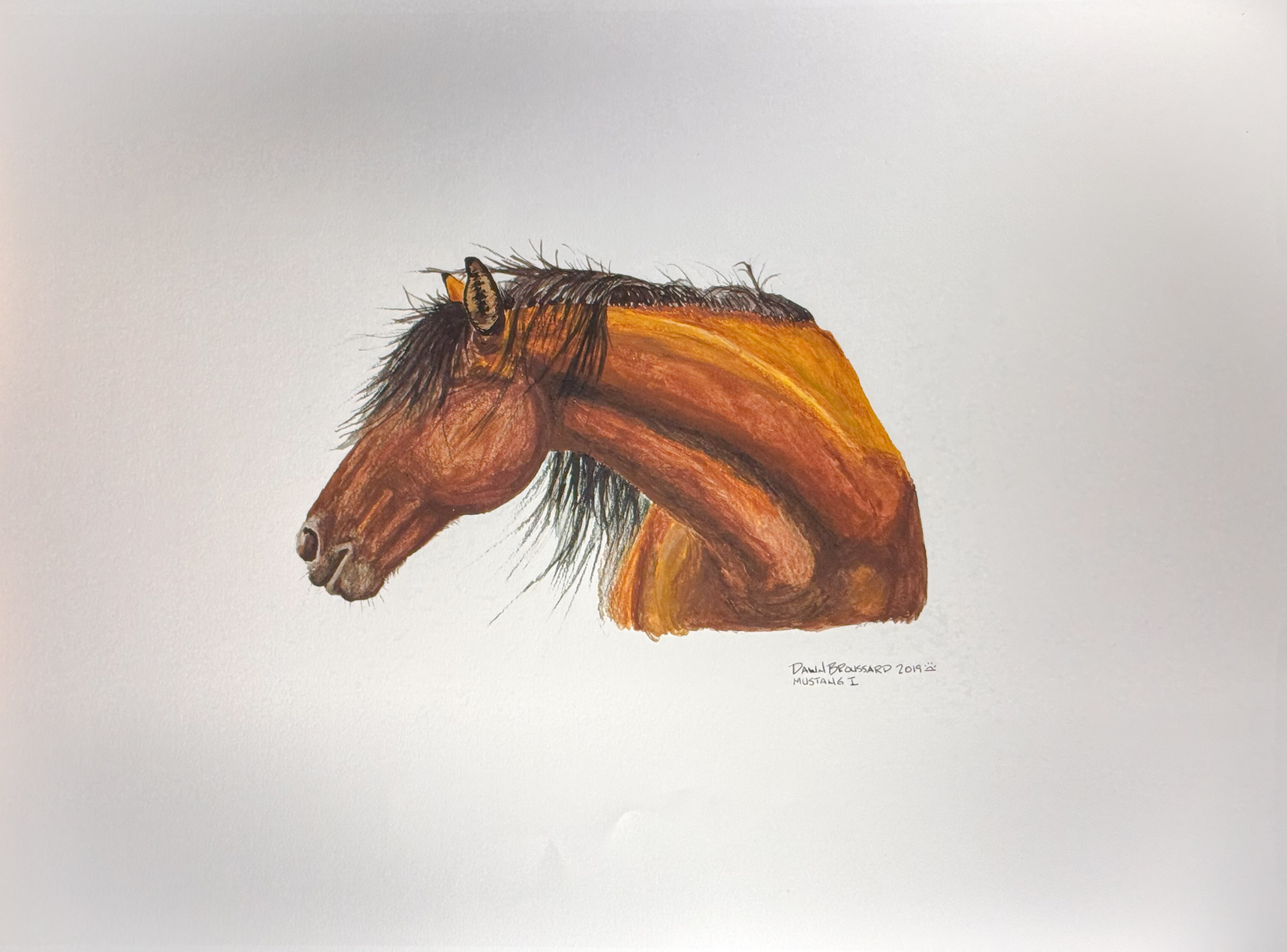 Mustang I 24"x18"