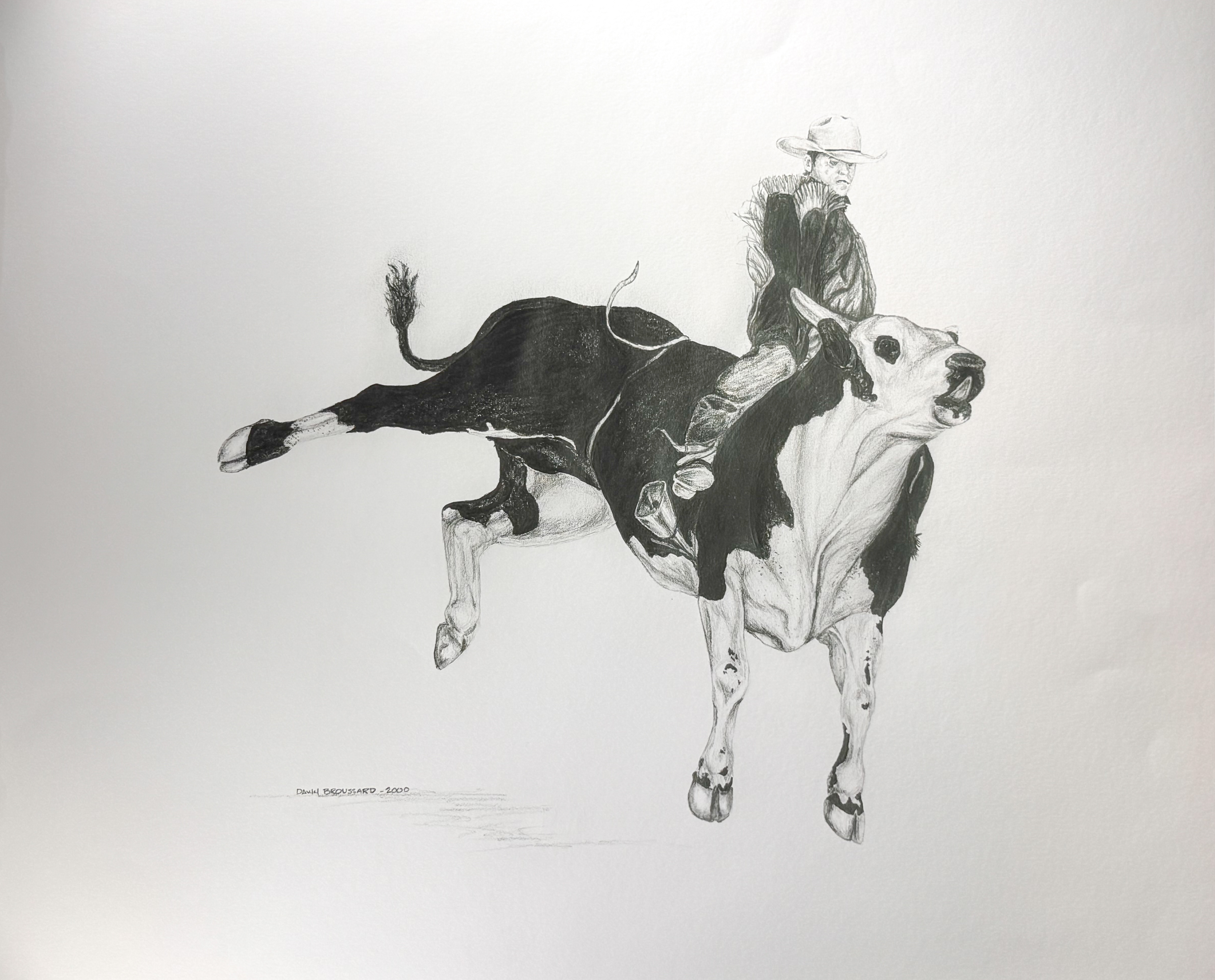 Bullrider 20"x16"
