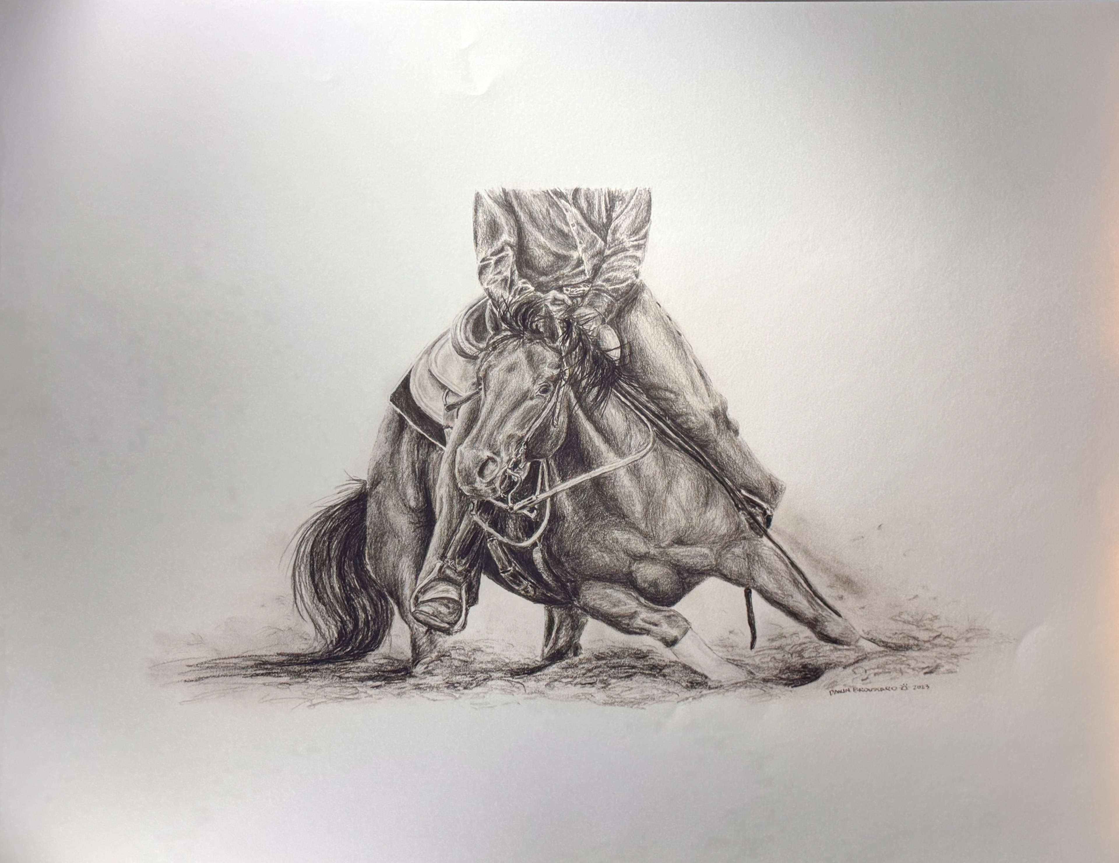 Down Low 24"x18"