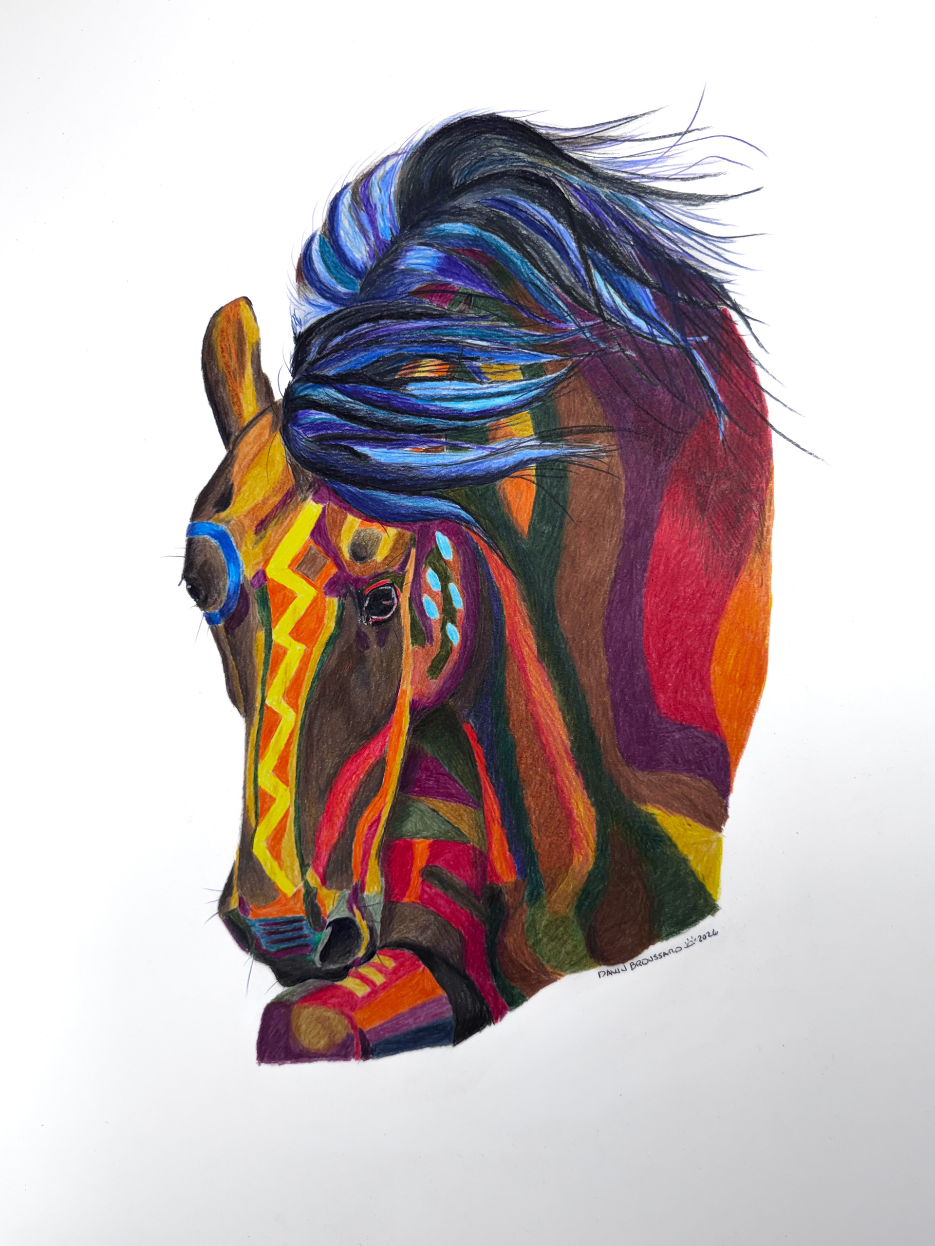 War Pony -Prints available.
