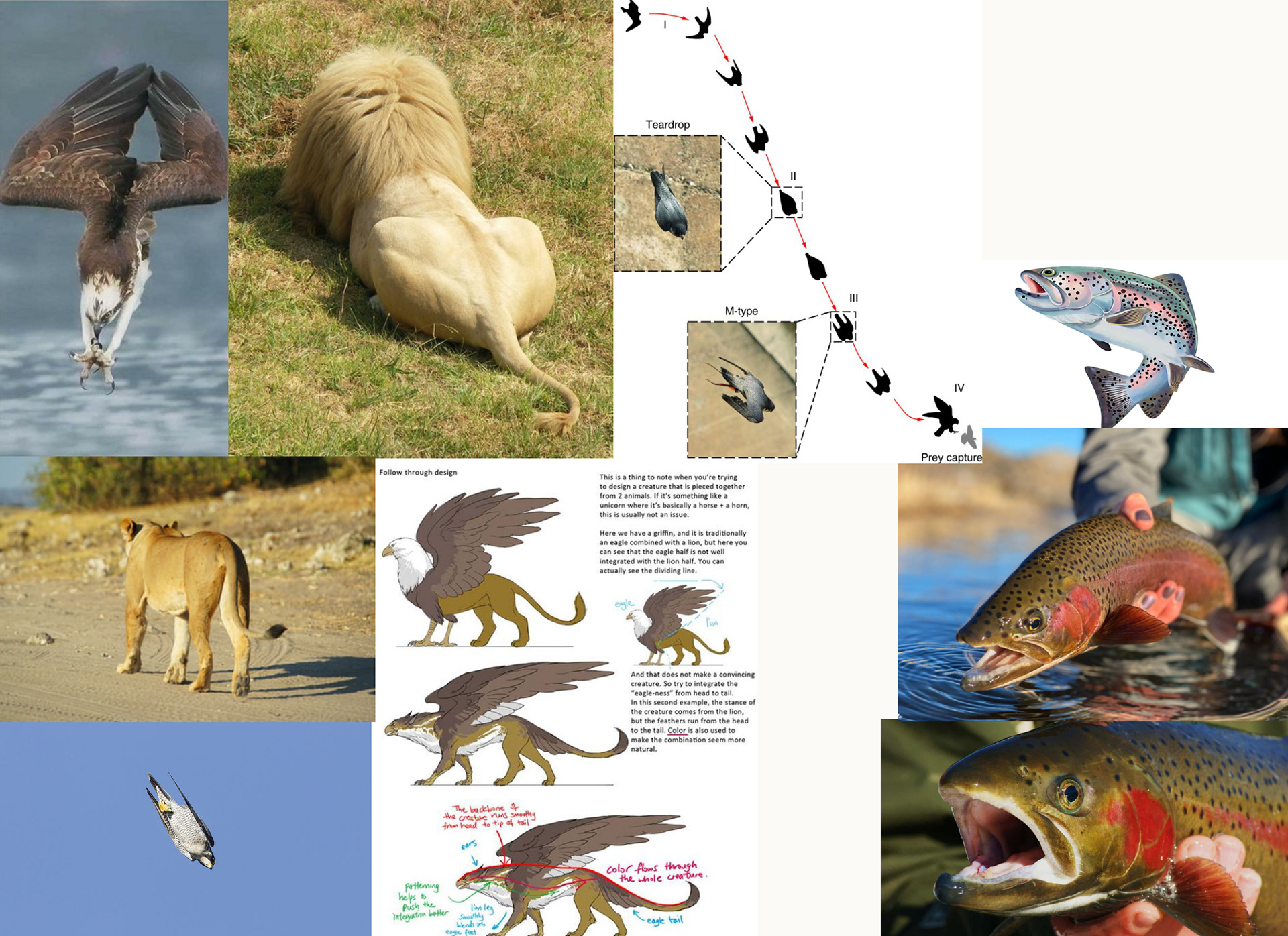 Reference Image Board