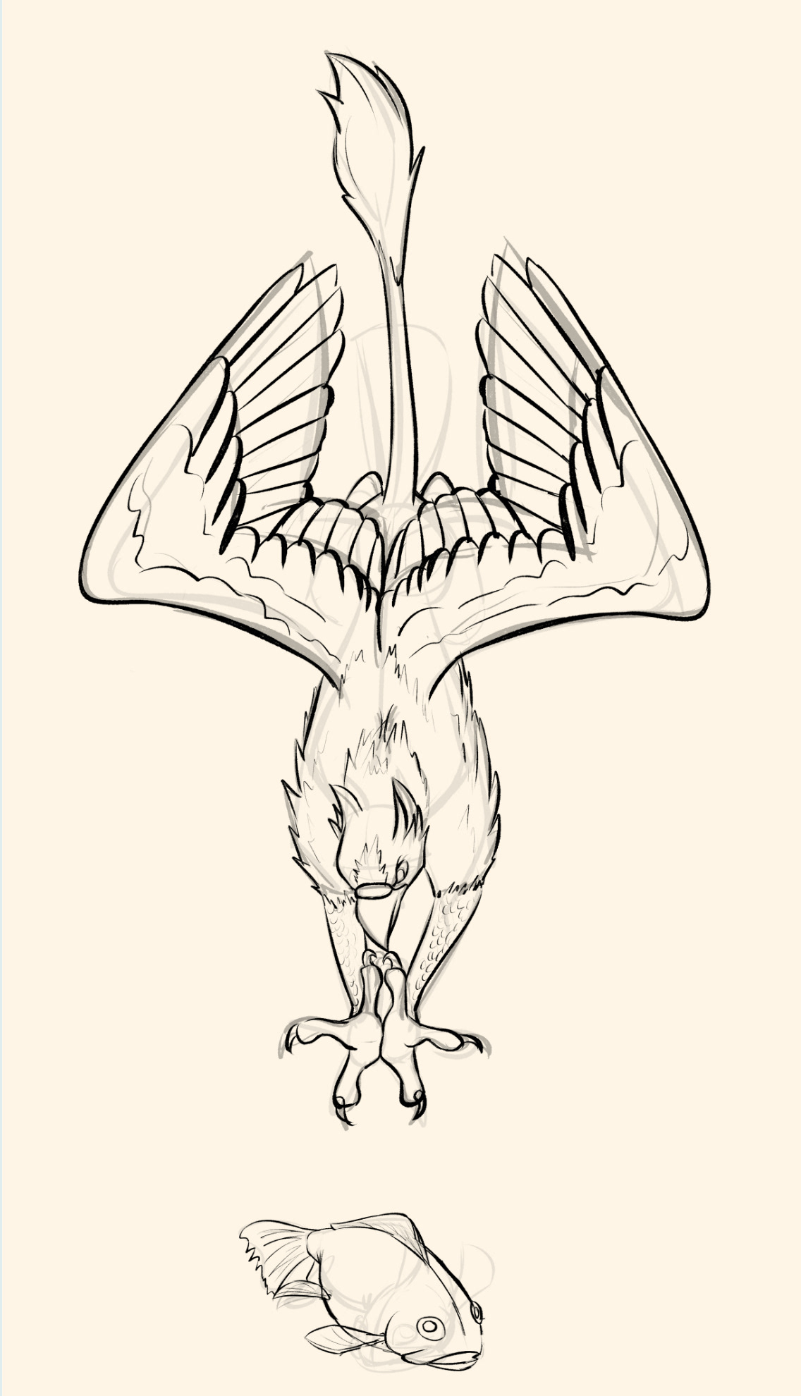 Sketch